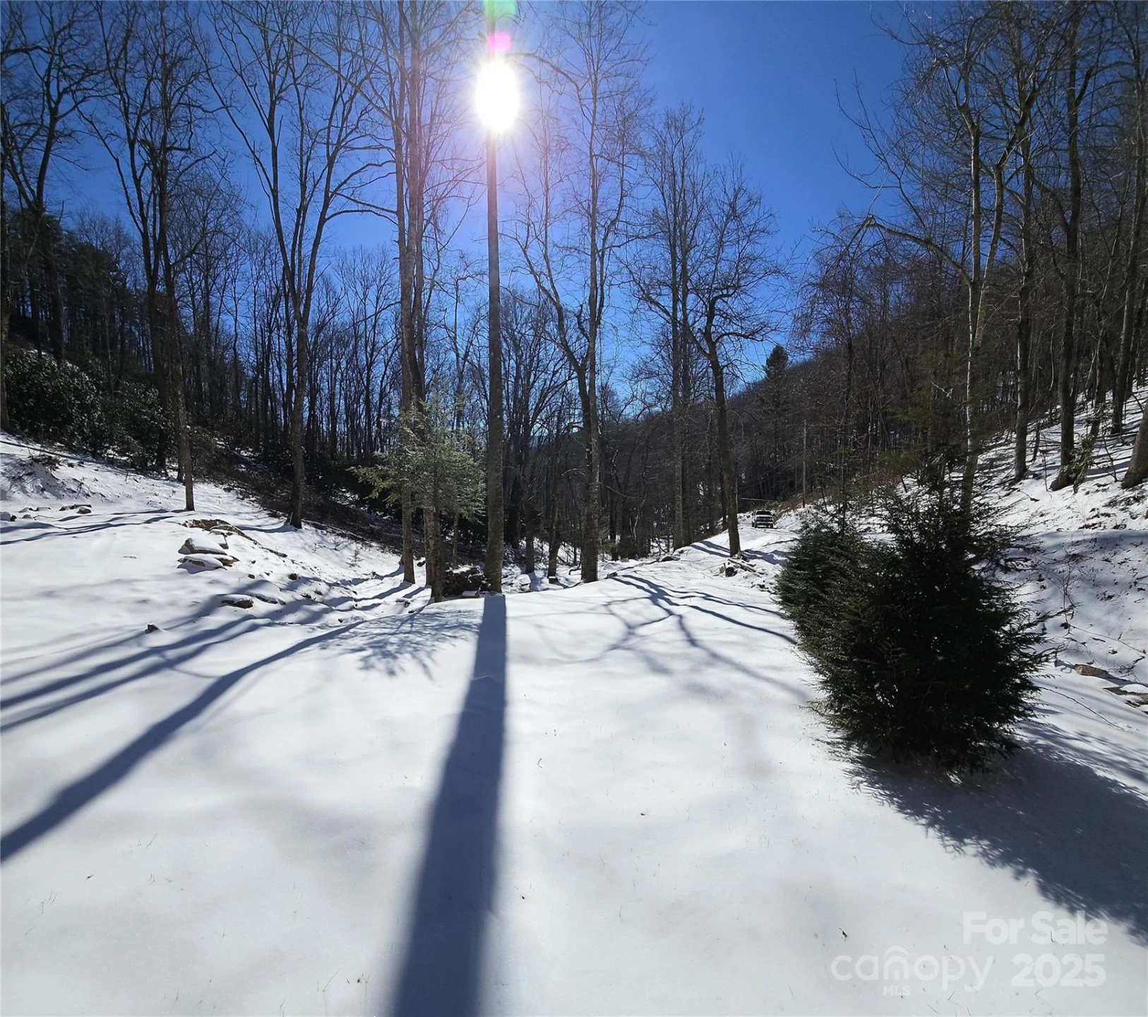 264 Quiet Times Drive - Photo 3