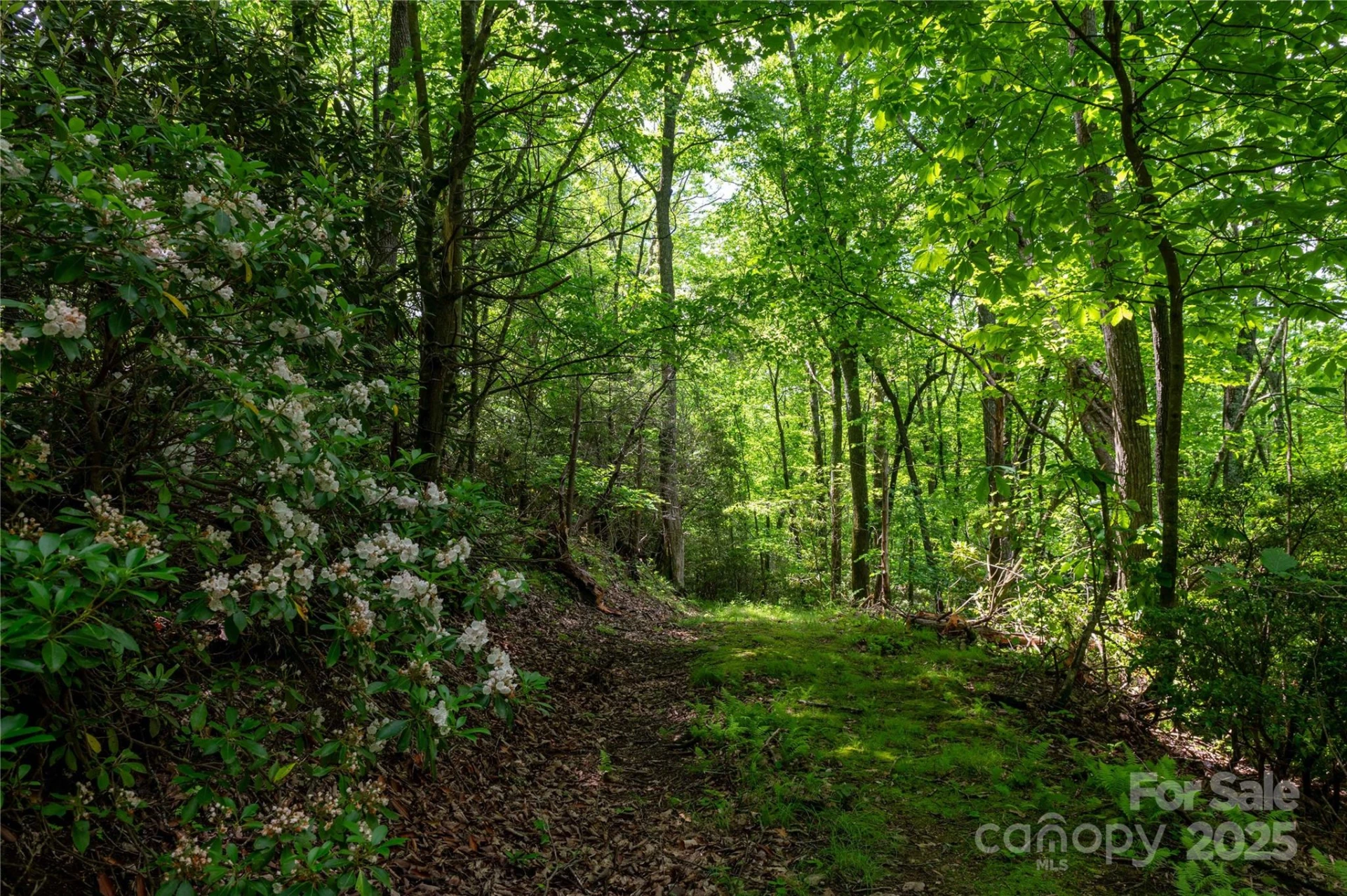 264 Quiet Times Drive - Photo 22