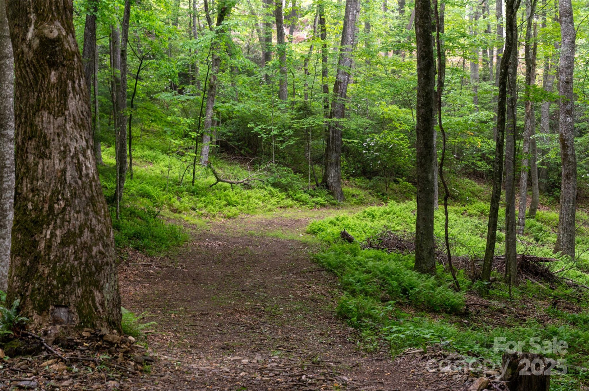 264 Quiet Times Drive - Photo 23