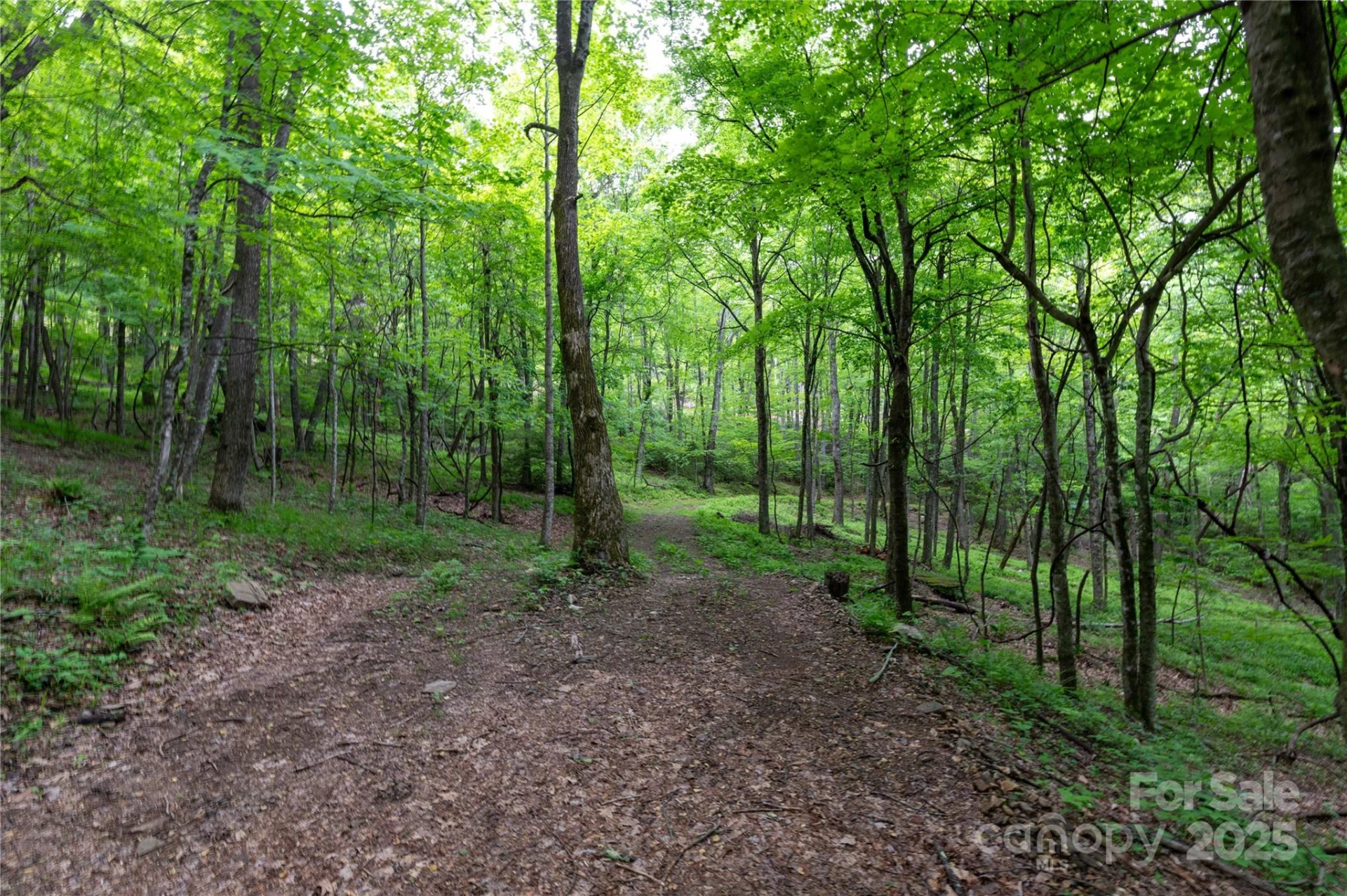 264 Quiet Times Drive - Photo 25