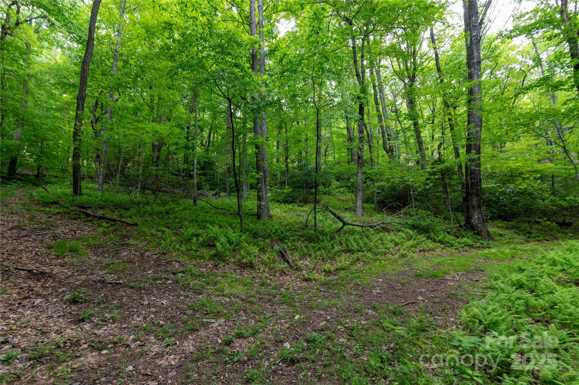 264 Quiet Times Drive - Photo 27