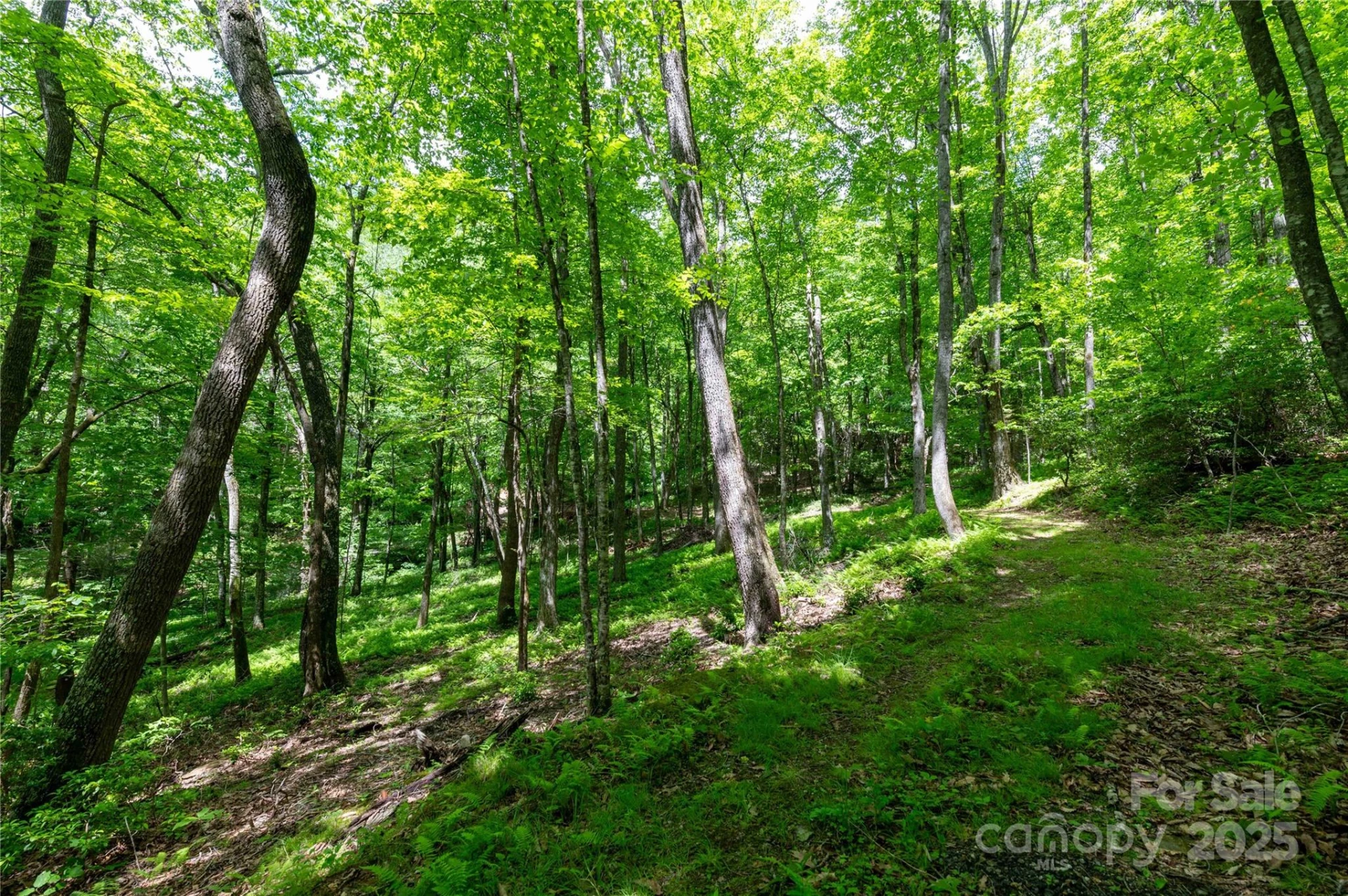 264 Quiet Times Drive - Photo 29