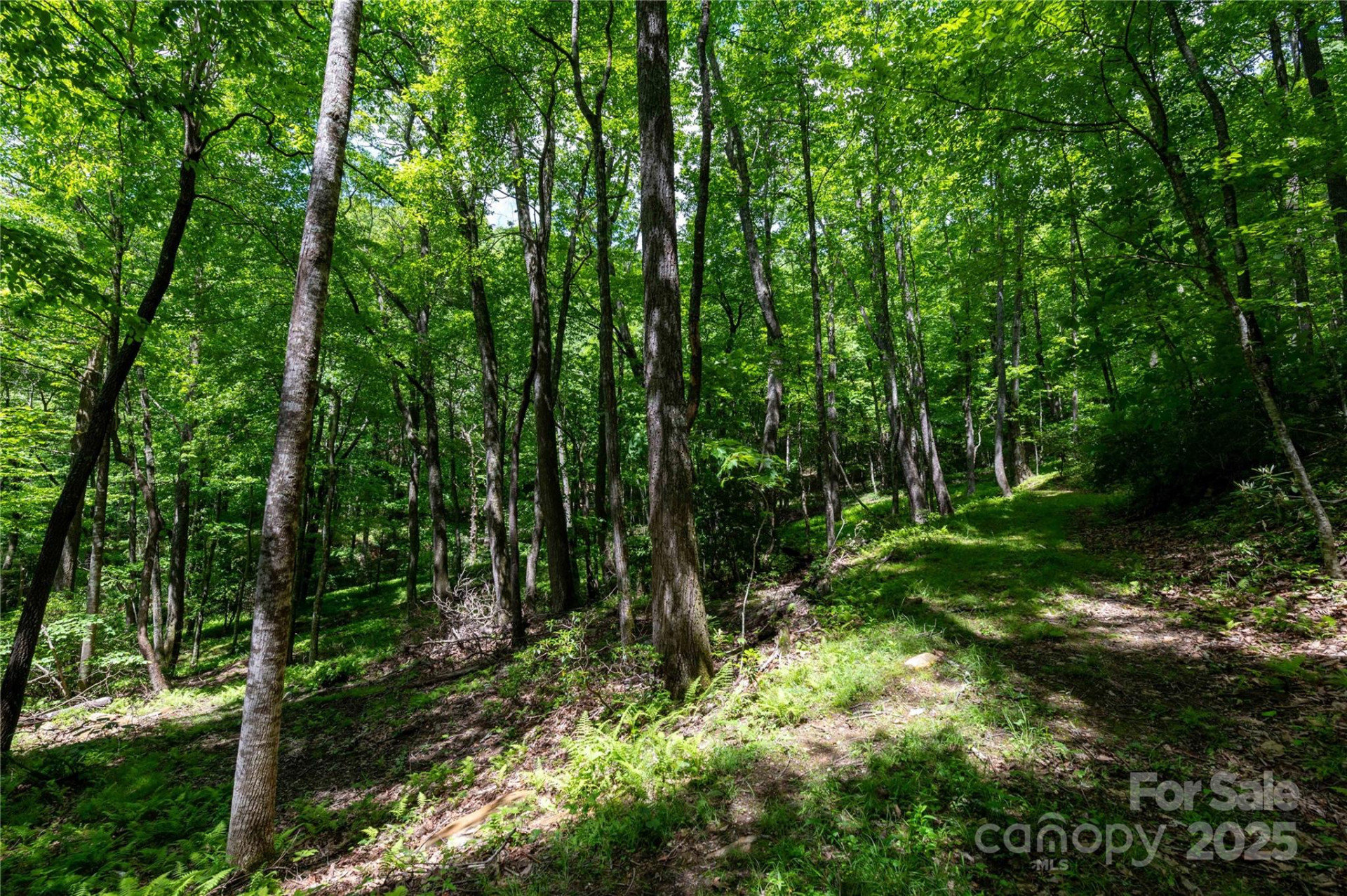 264 Quiet Times Drive - Photo 31