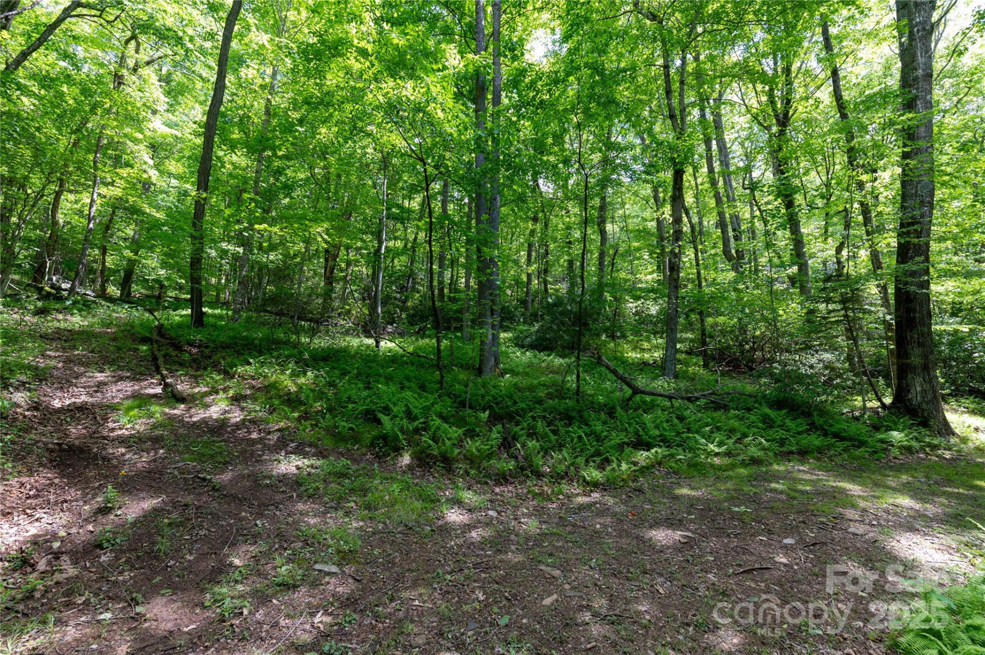 264 Quiet Times Drive - Photo 32