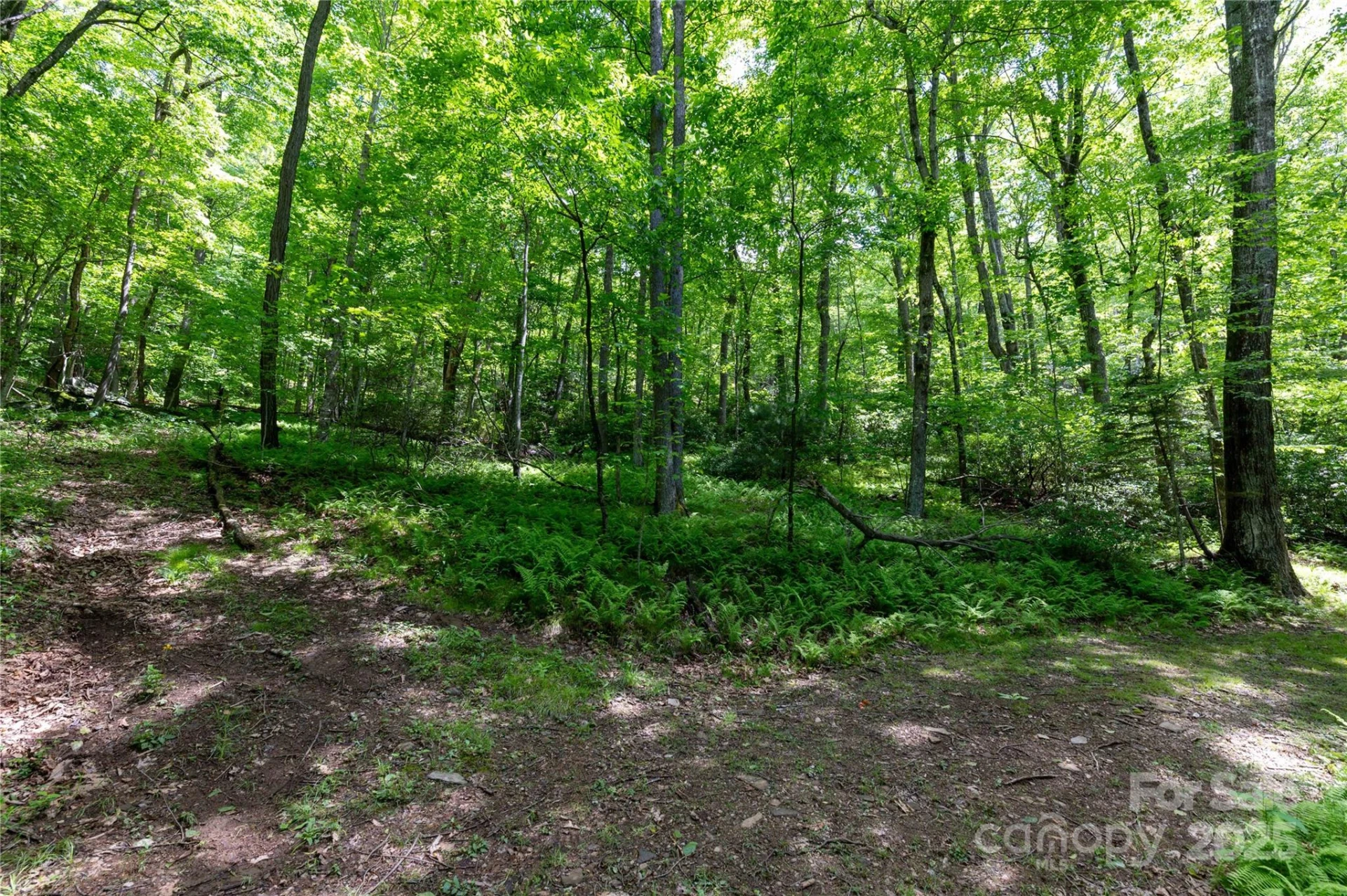 264 Quiet Times Drive - Photo 32