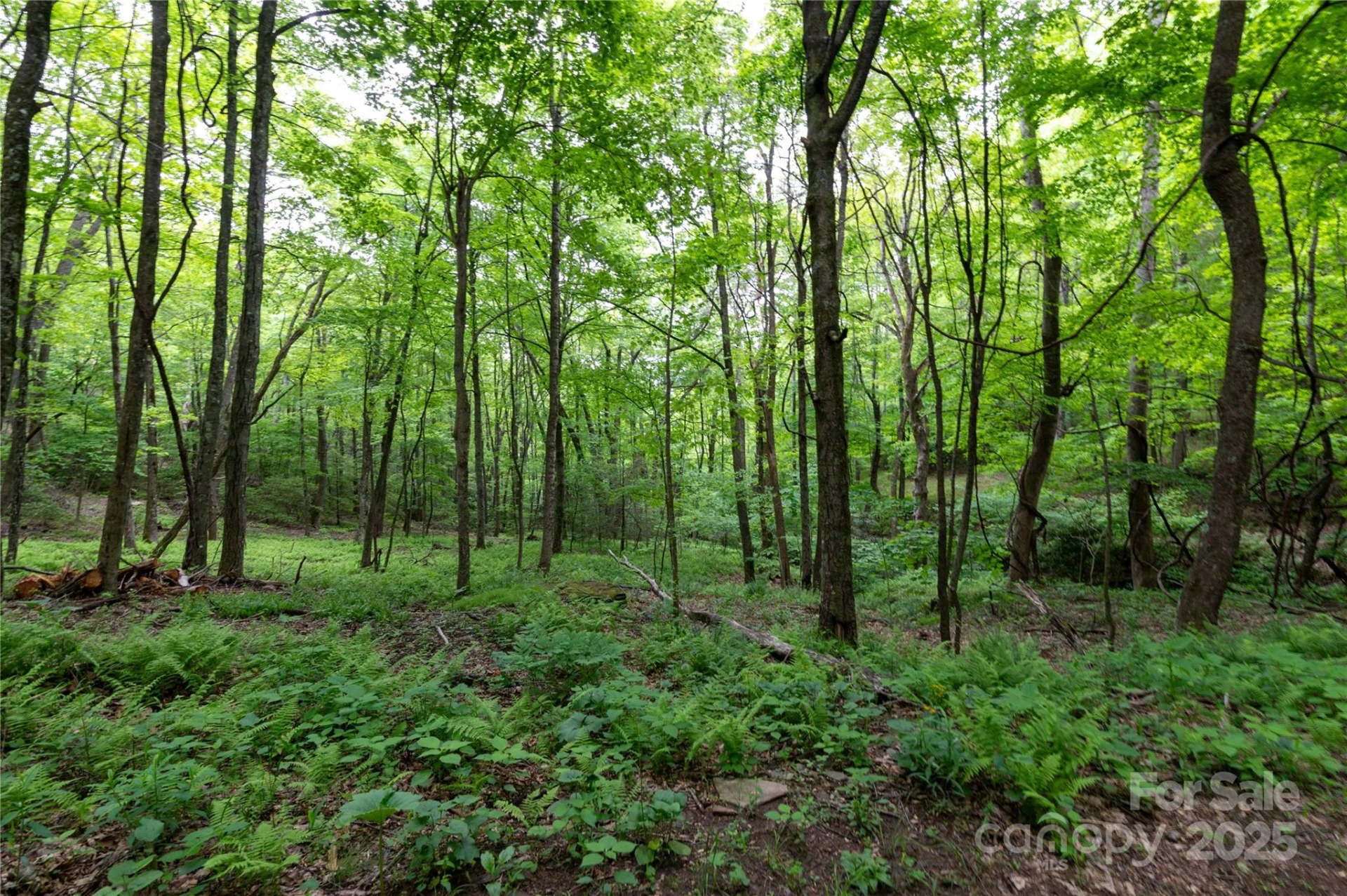 264 Quiet Times Drive - Photo 33