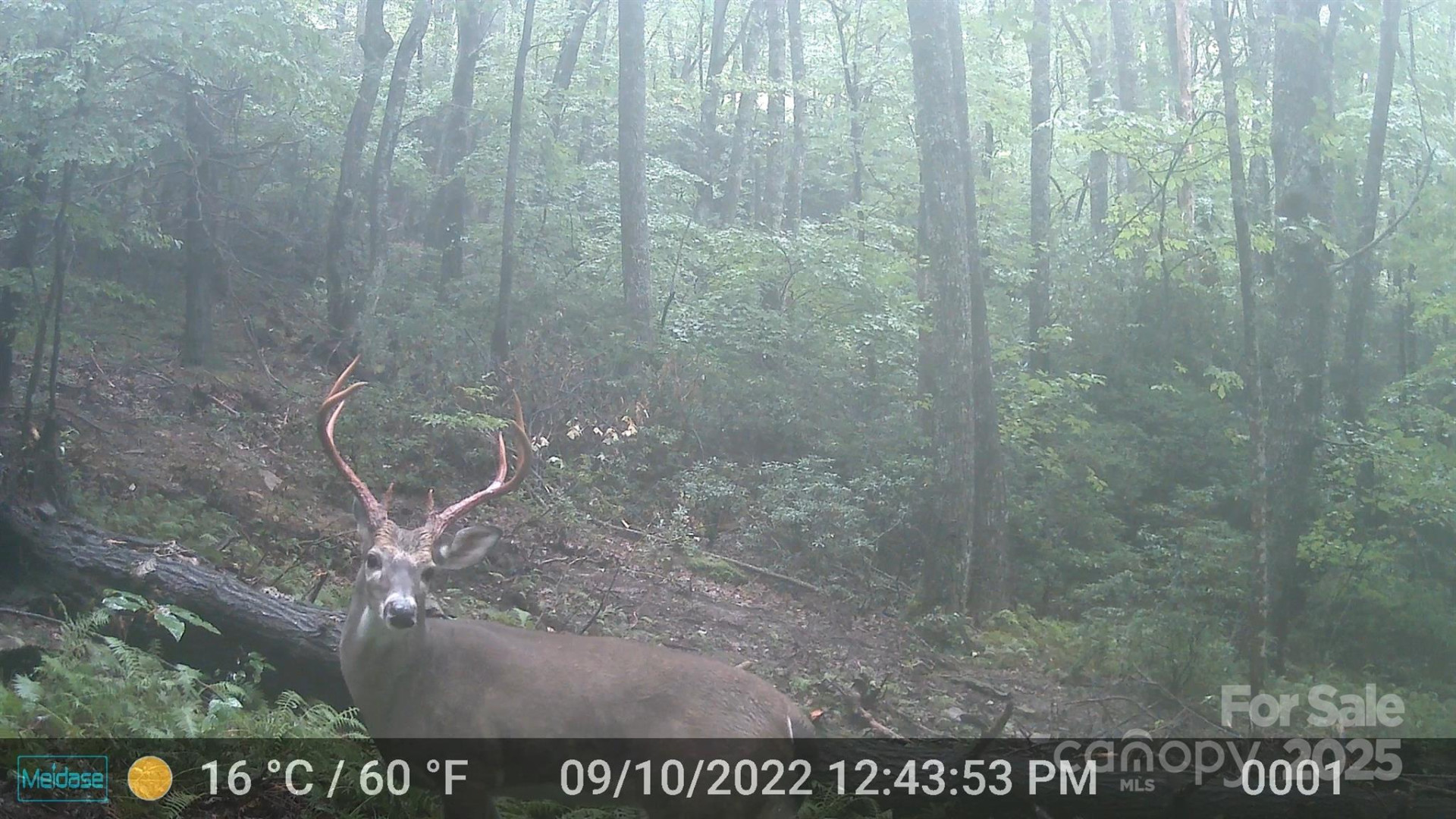 264 Quiet Times Drive - Photo 38