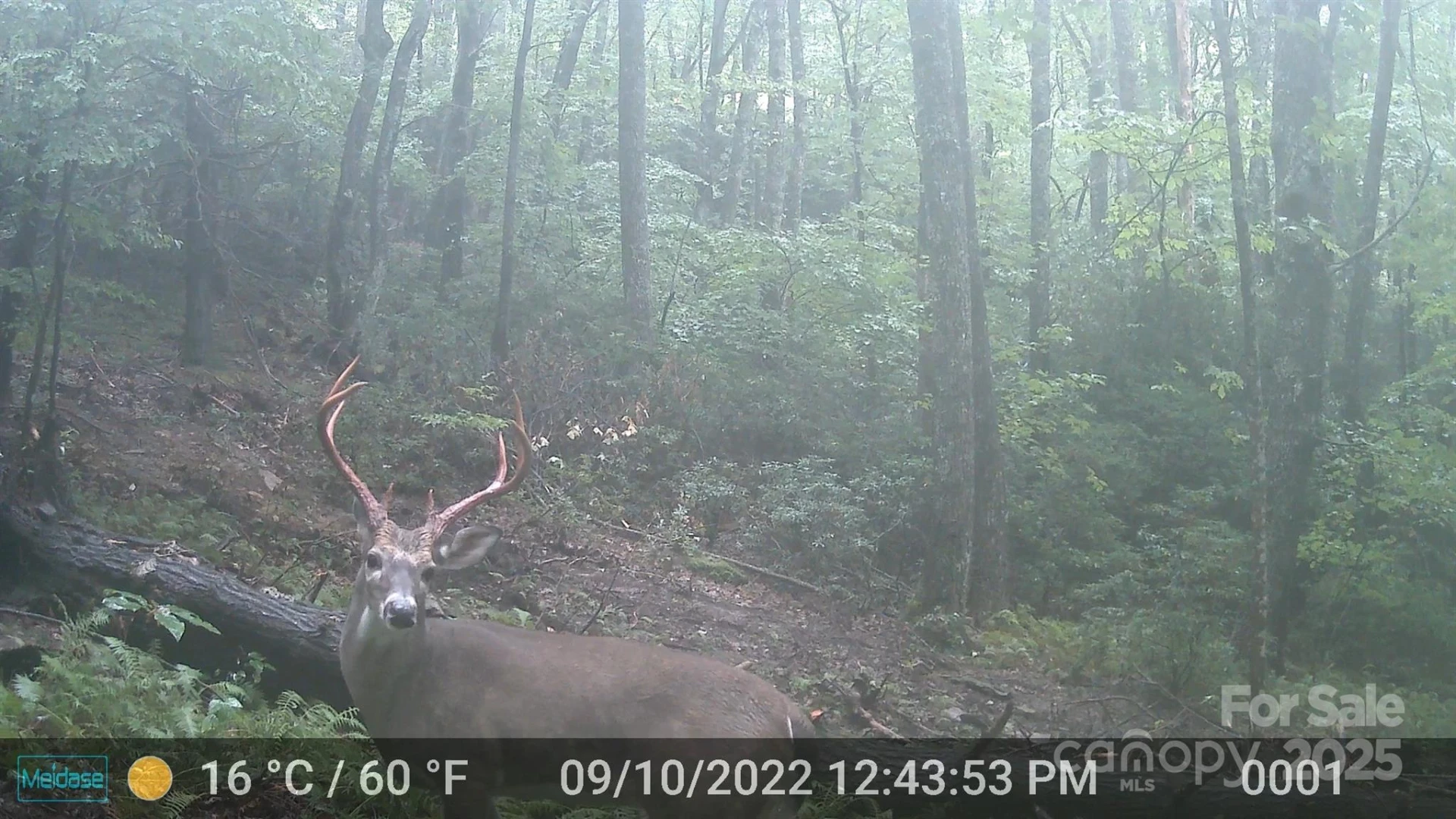 264 Quiet Times Drive - Photo 38