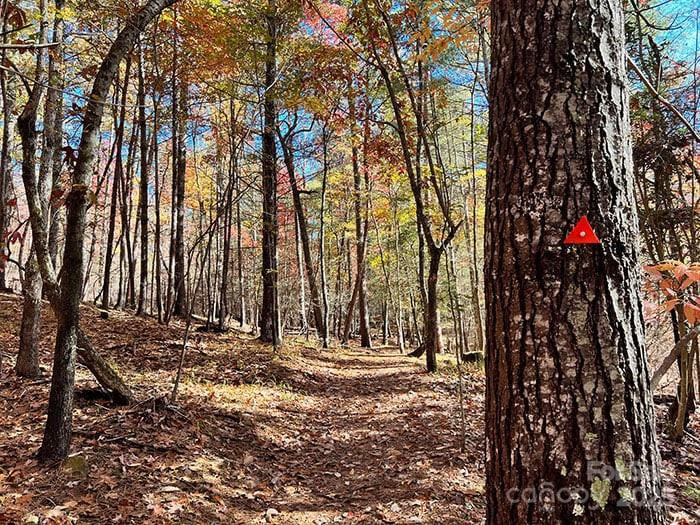 5339 Knollview Drive - Photo 13