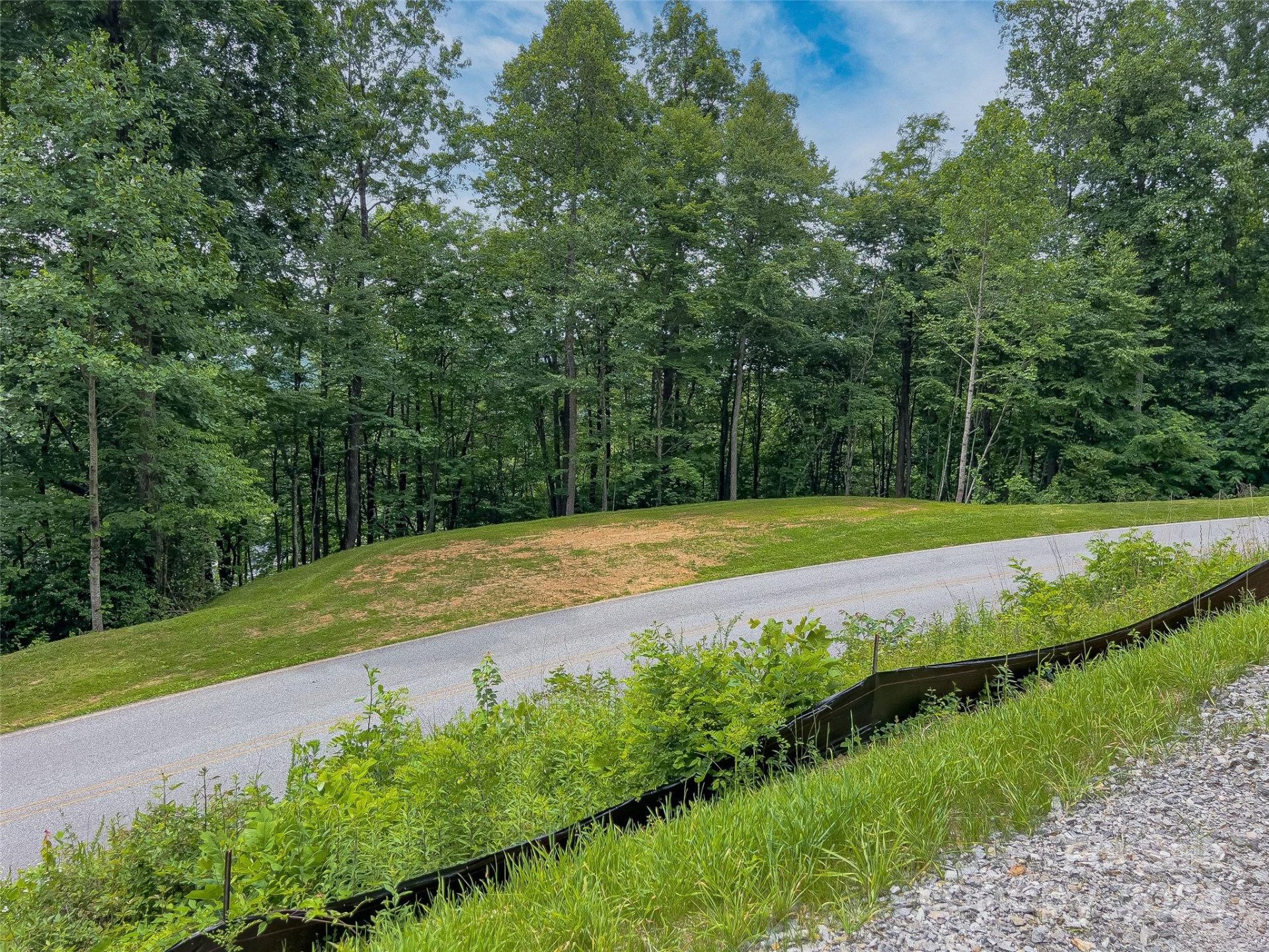 99999 Cliffsridge Parkway - Photo 12