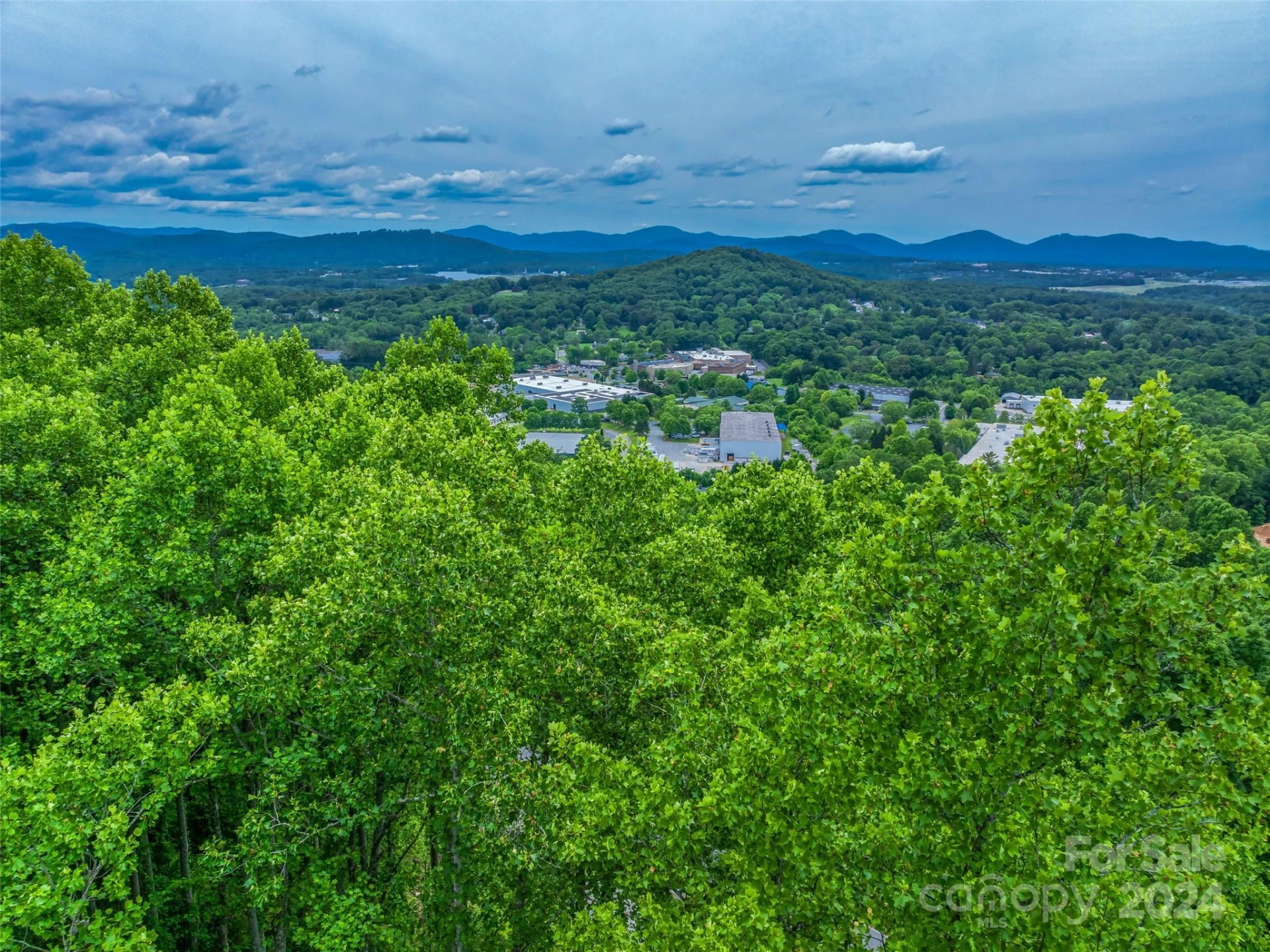99999 Cliffsridge Parkway - Photo 13