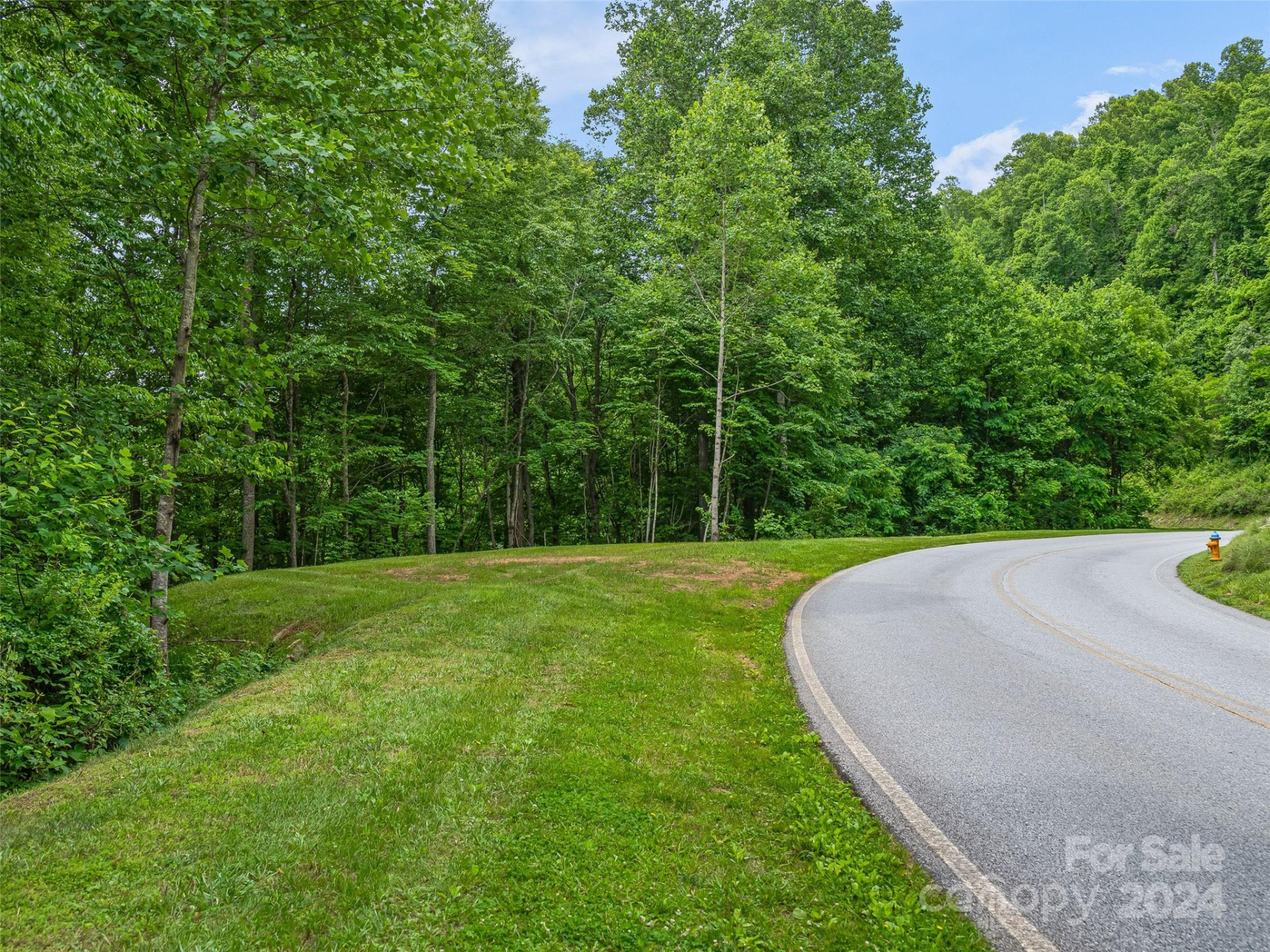 99999 Cliffsridge Parkway - Photo 5