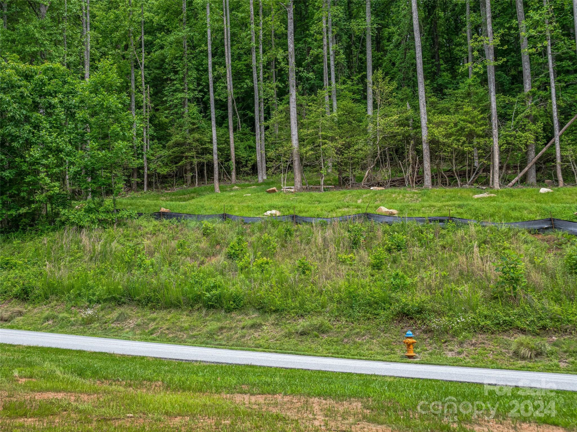 99999 Cliffsridge Parkway - Photo 9