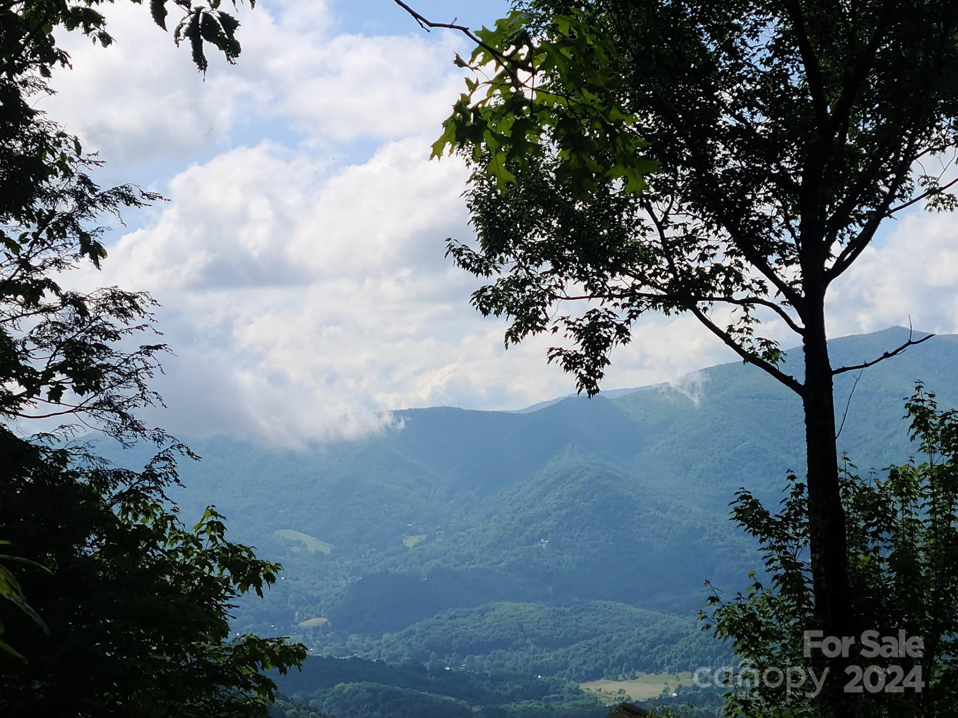 00 Rising Sun Lane #338