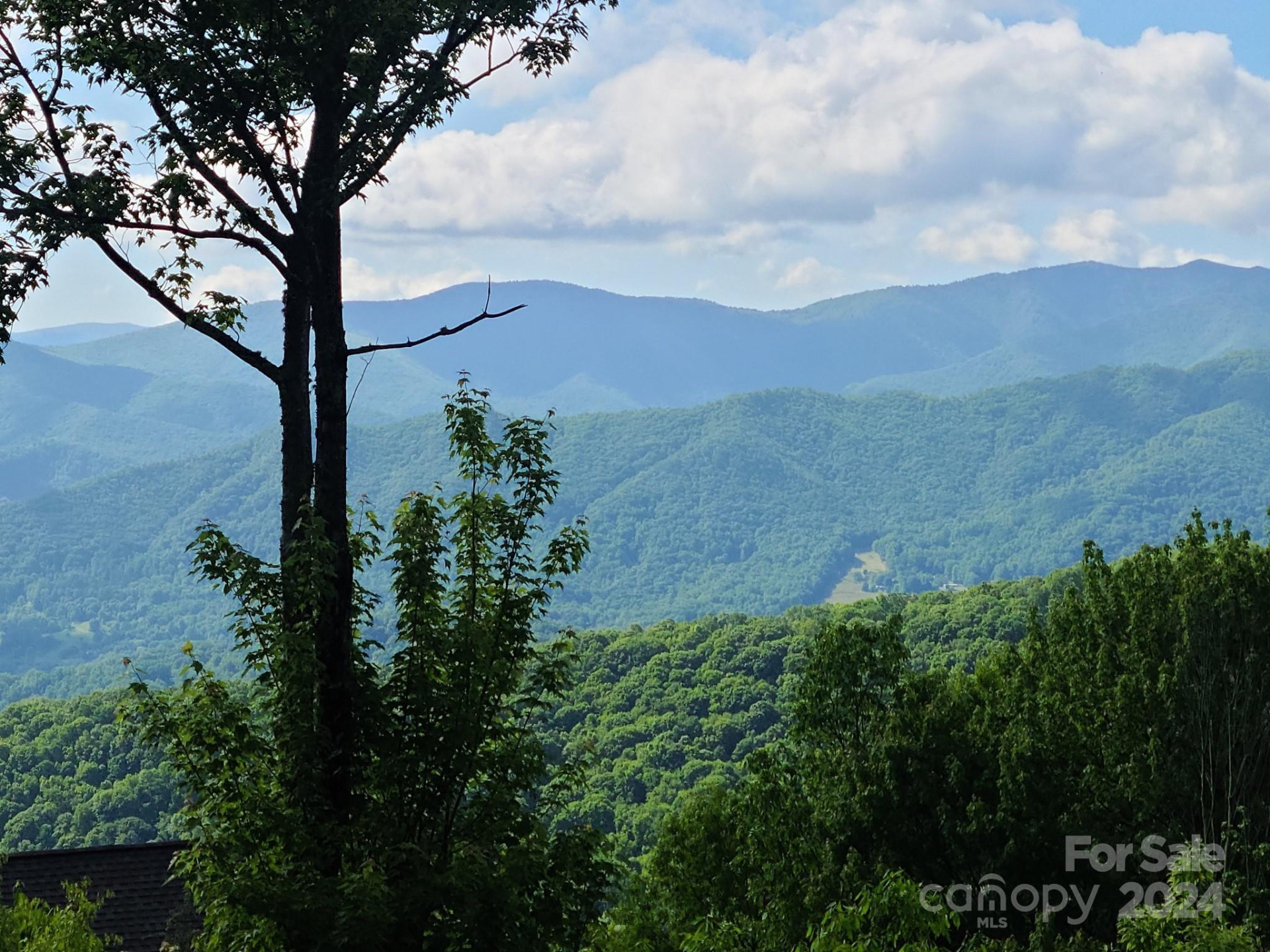 00 Rising Sun Lane #338 - Photo 2