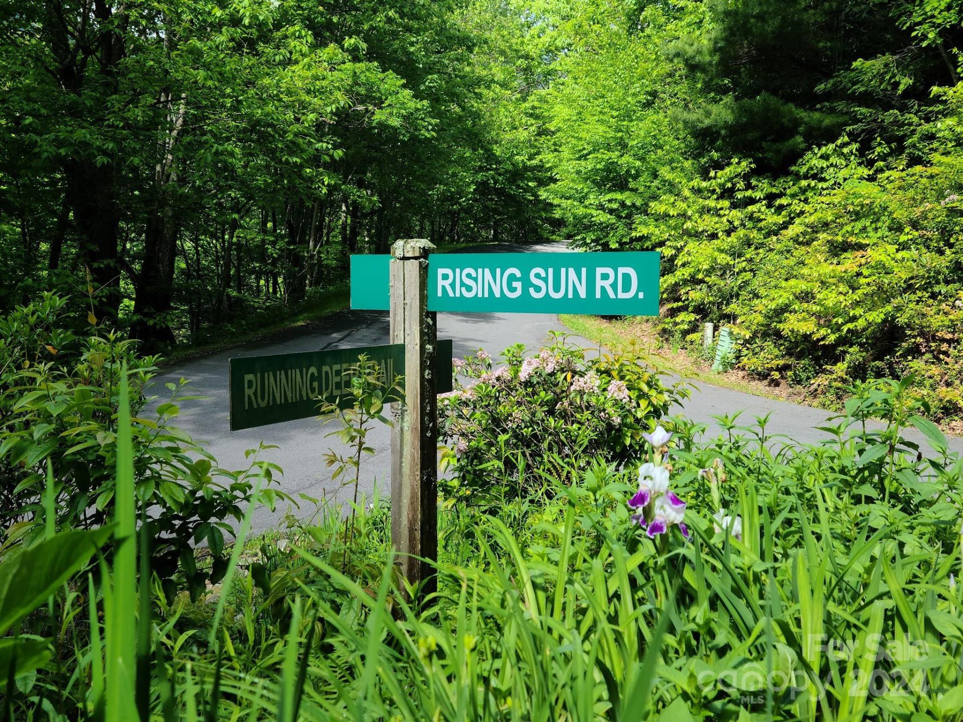 00 Rising Sun Lane #338 - Photo 11