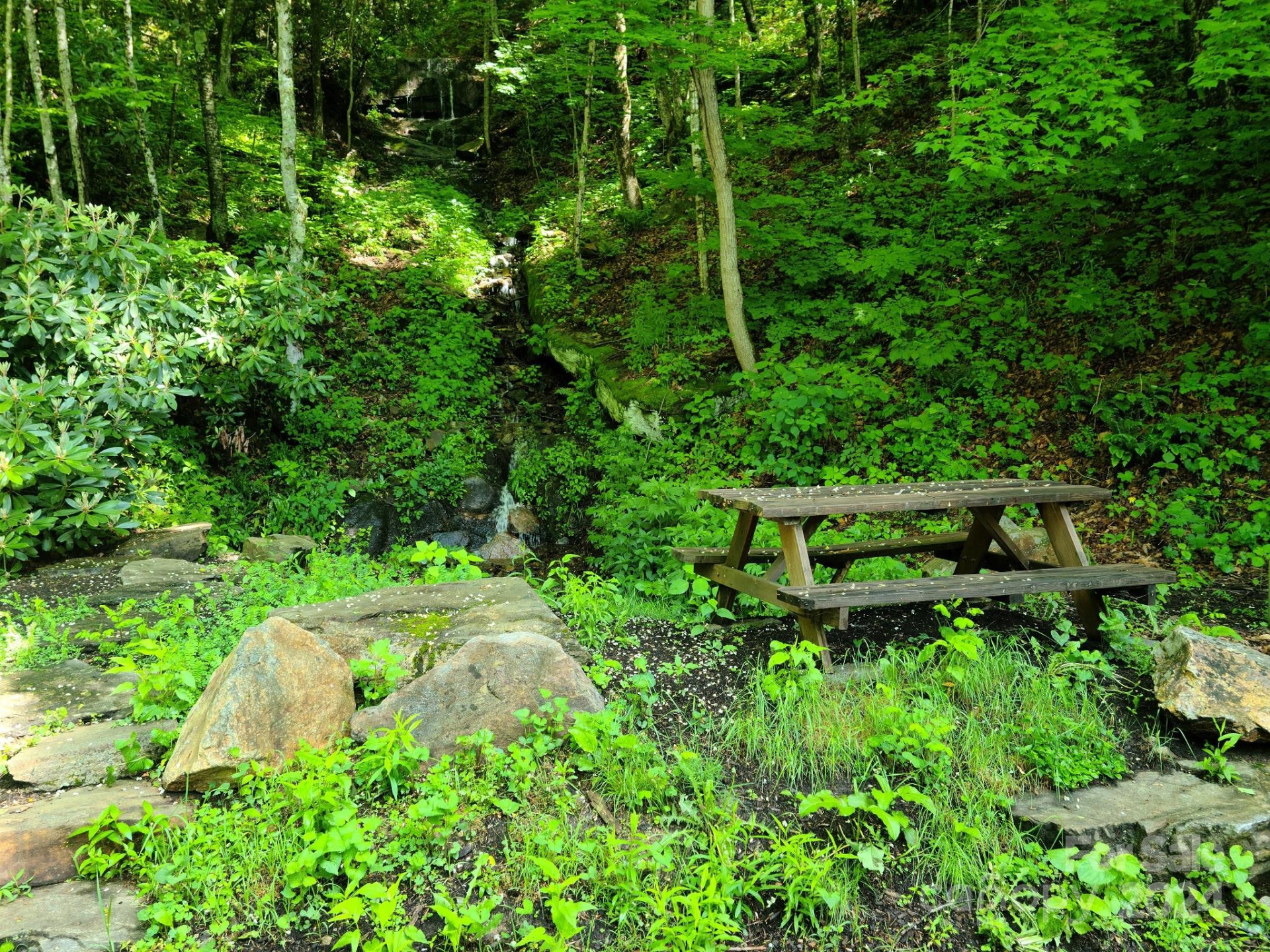 00 Rising Sun Lane #338 - Photo 12