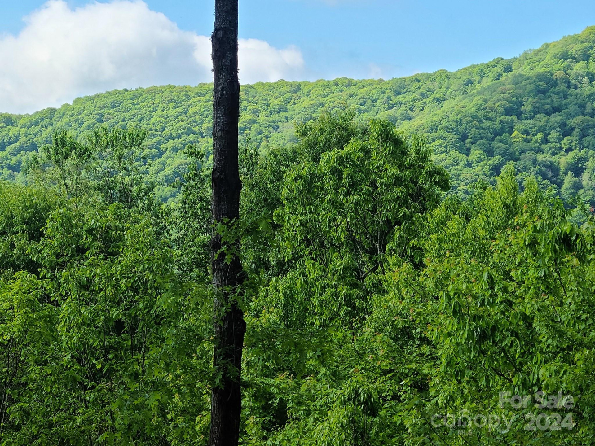 00 Rising Sun Lane #338 - Photo 3