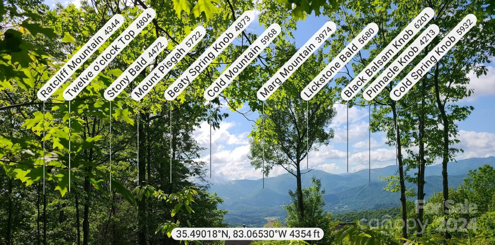 00 Rising Sun Lane #338 - Photo 4