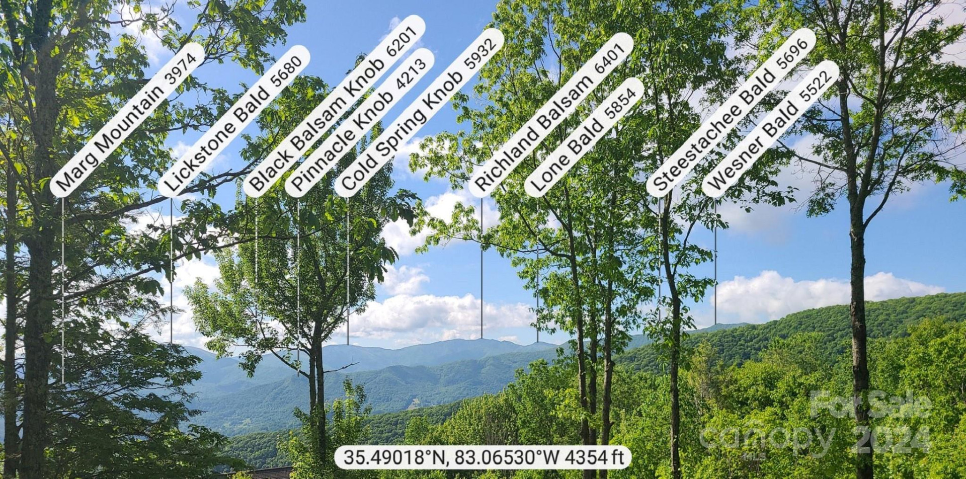 00 Rising Sun Lane #338 - Photo 5