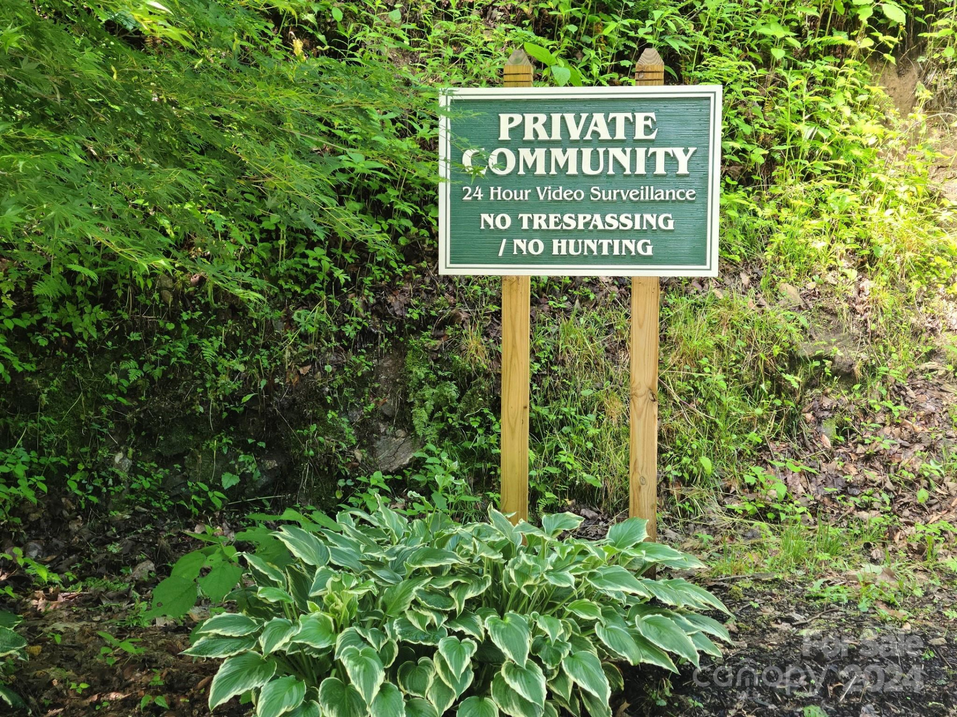 00 Rising Sun Lane #338 - Photo 8