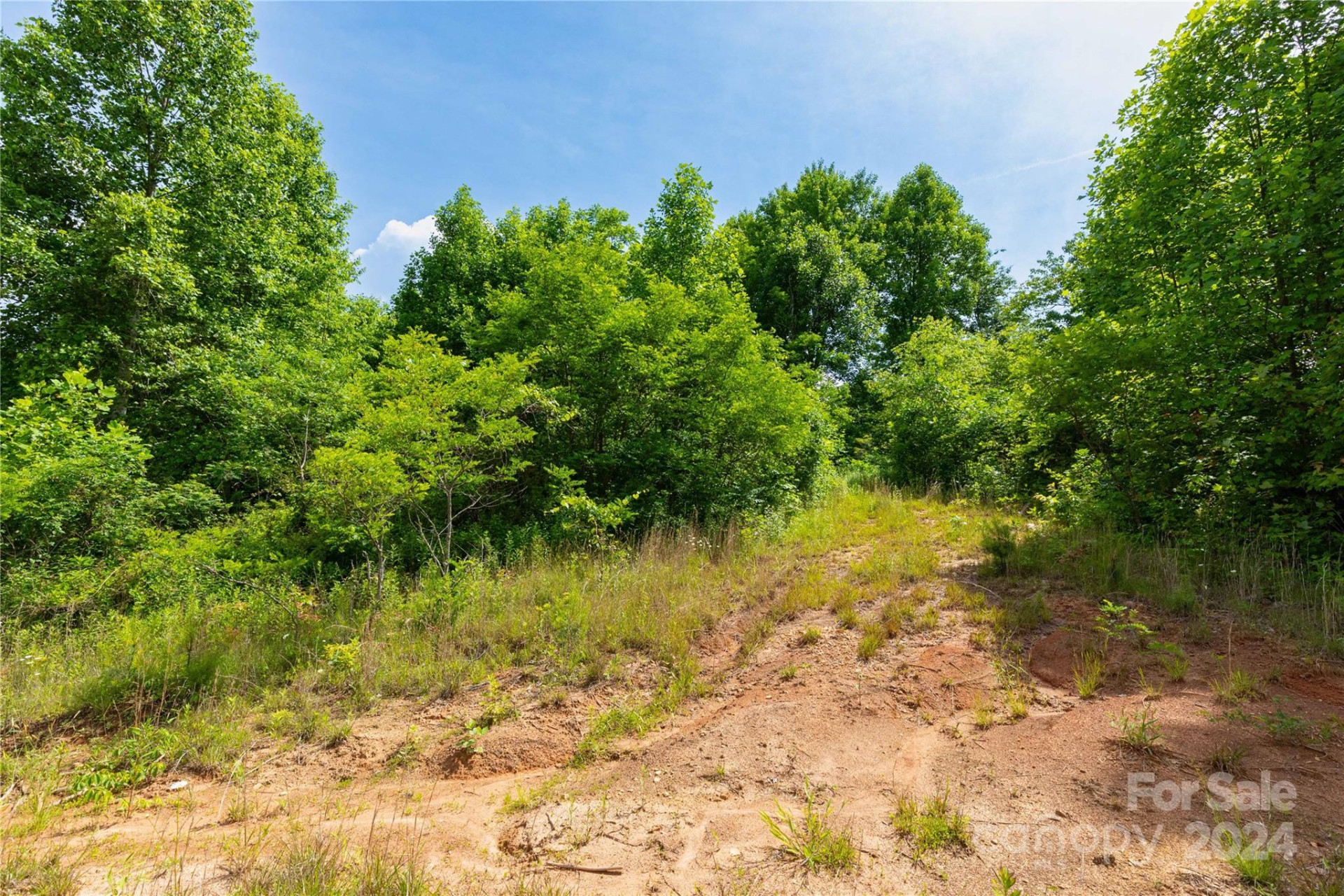 000 Destiny Road - Photo 11