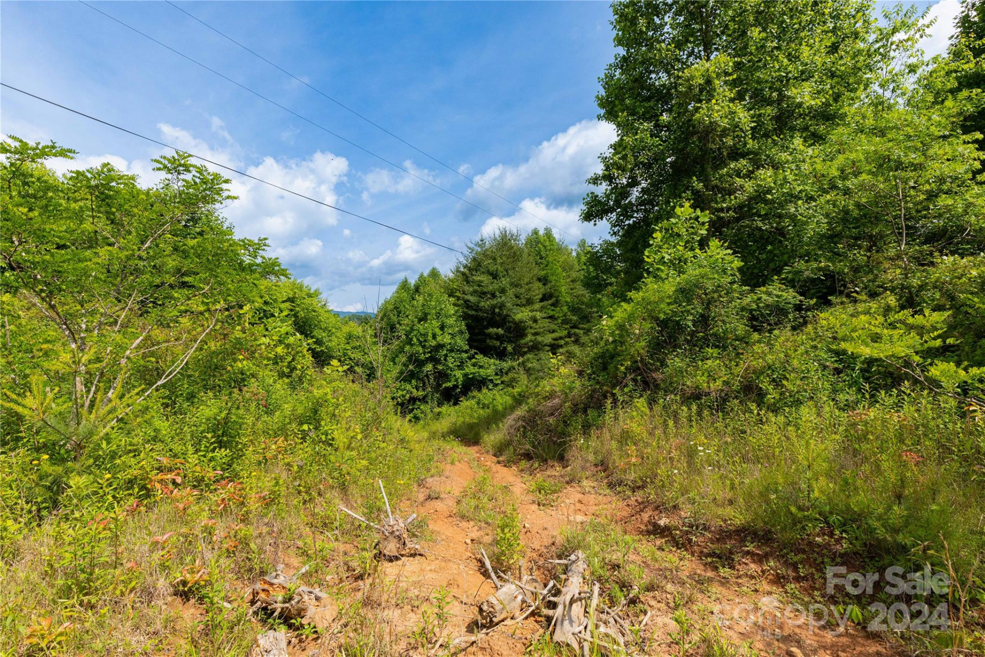 000 Destiny Road - Photo 6