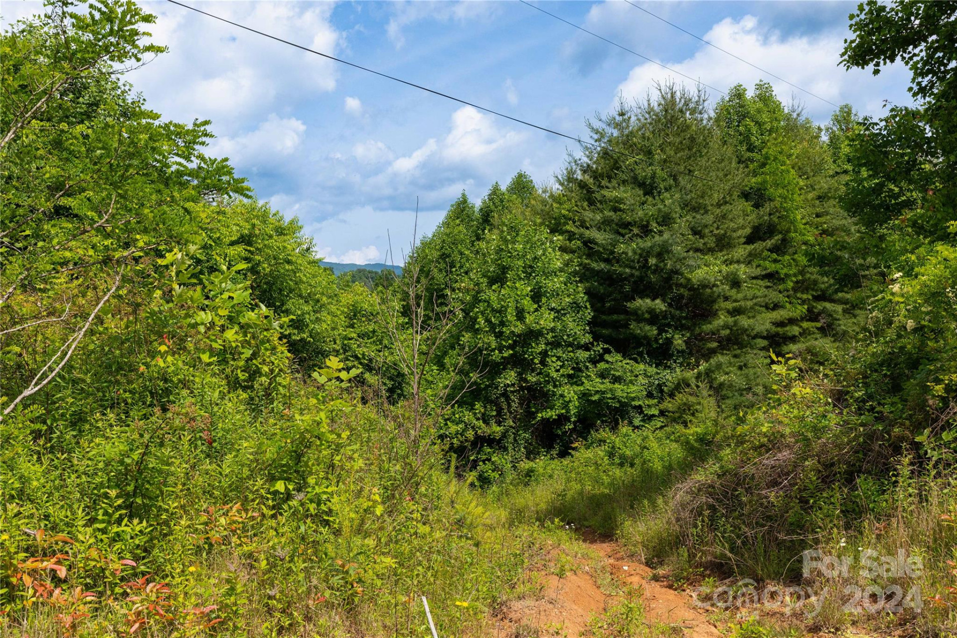 000 Destiny Road - Photo 7