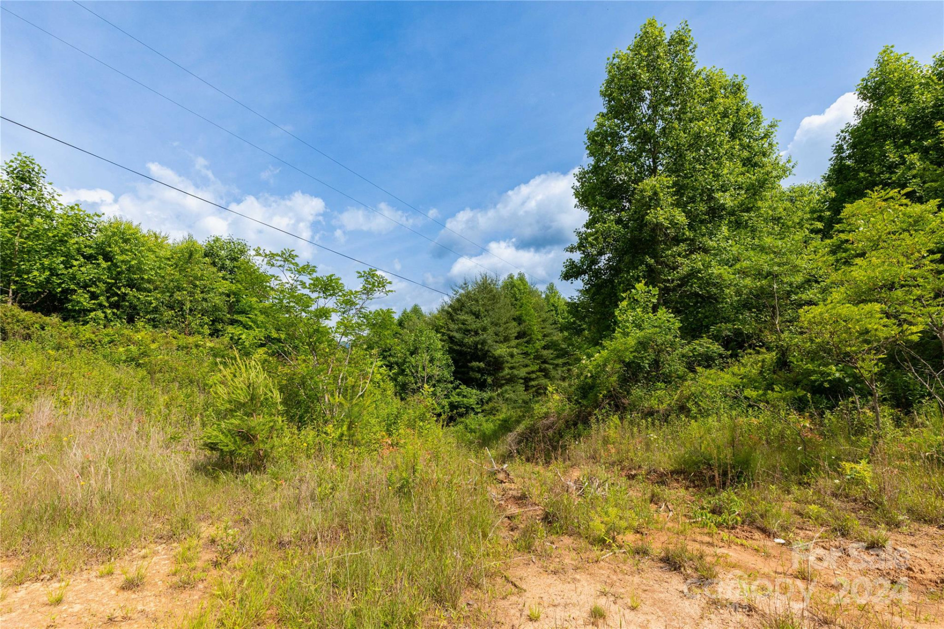 000 Destiny Road - Photo 10