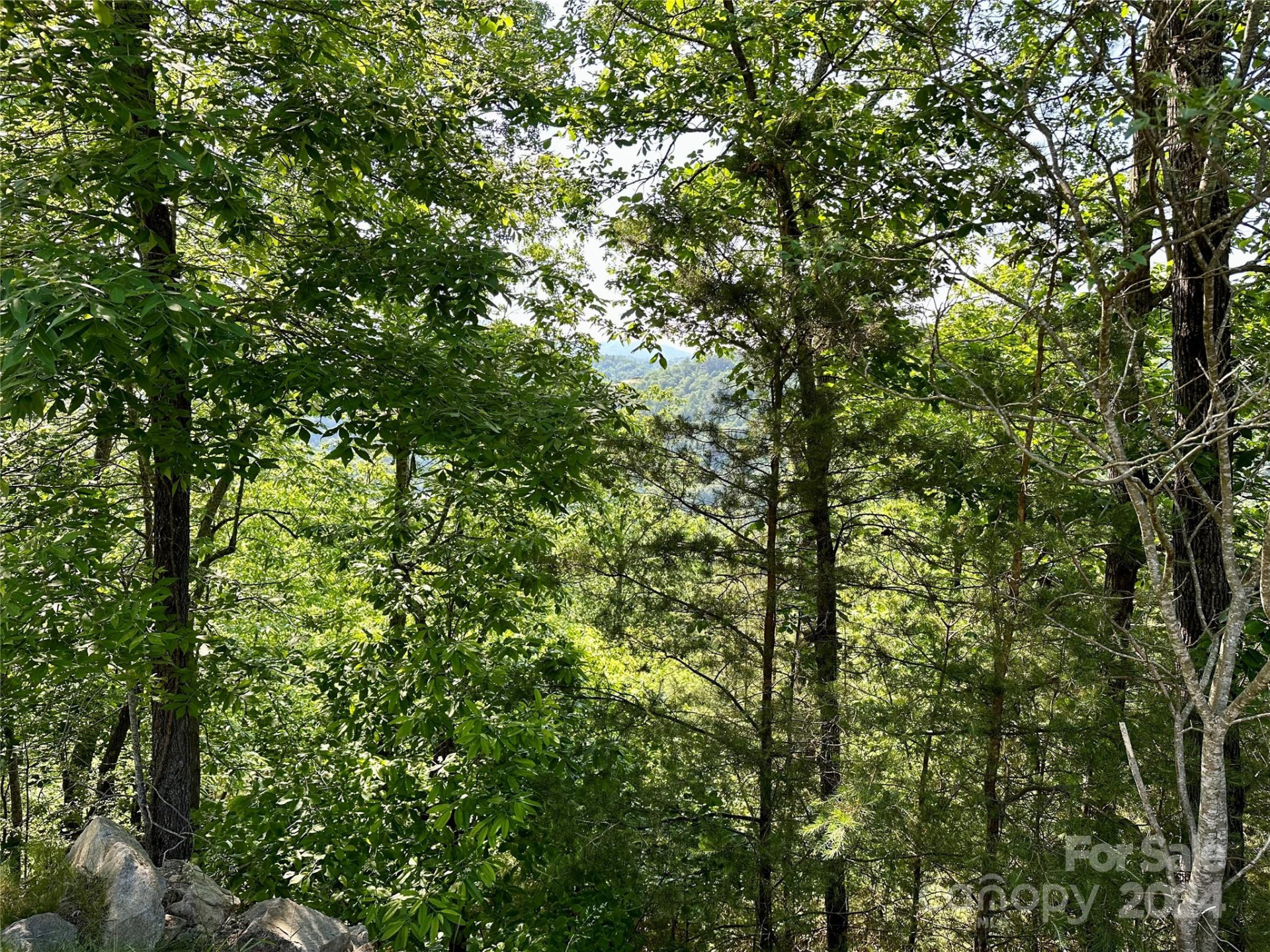 387 Wild River Run #6