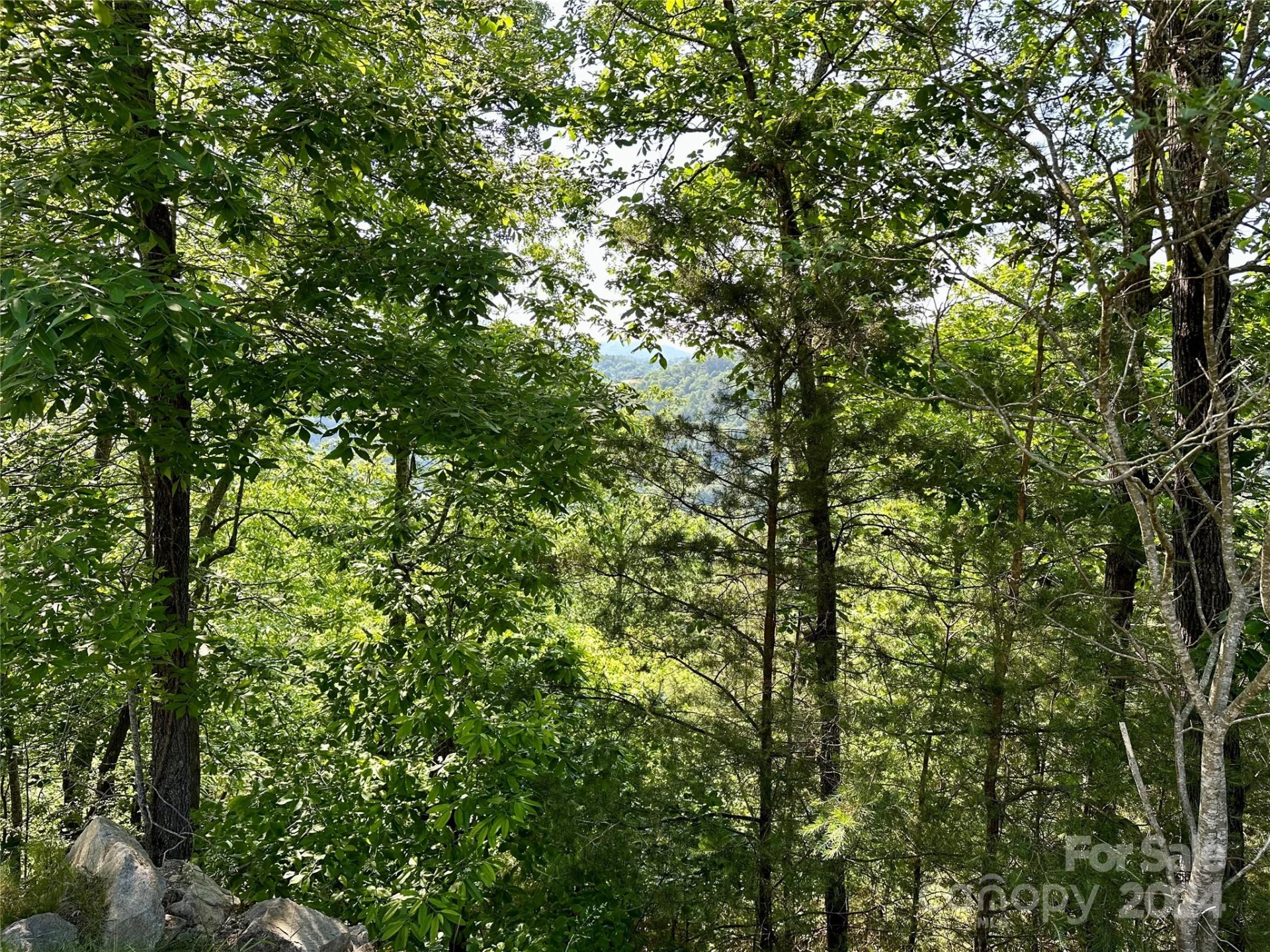 387 Wild River Run #6