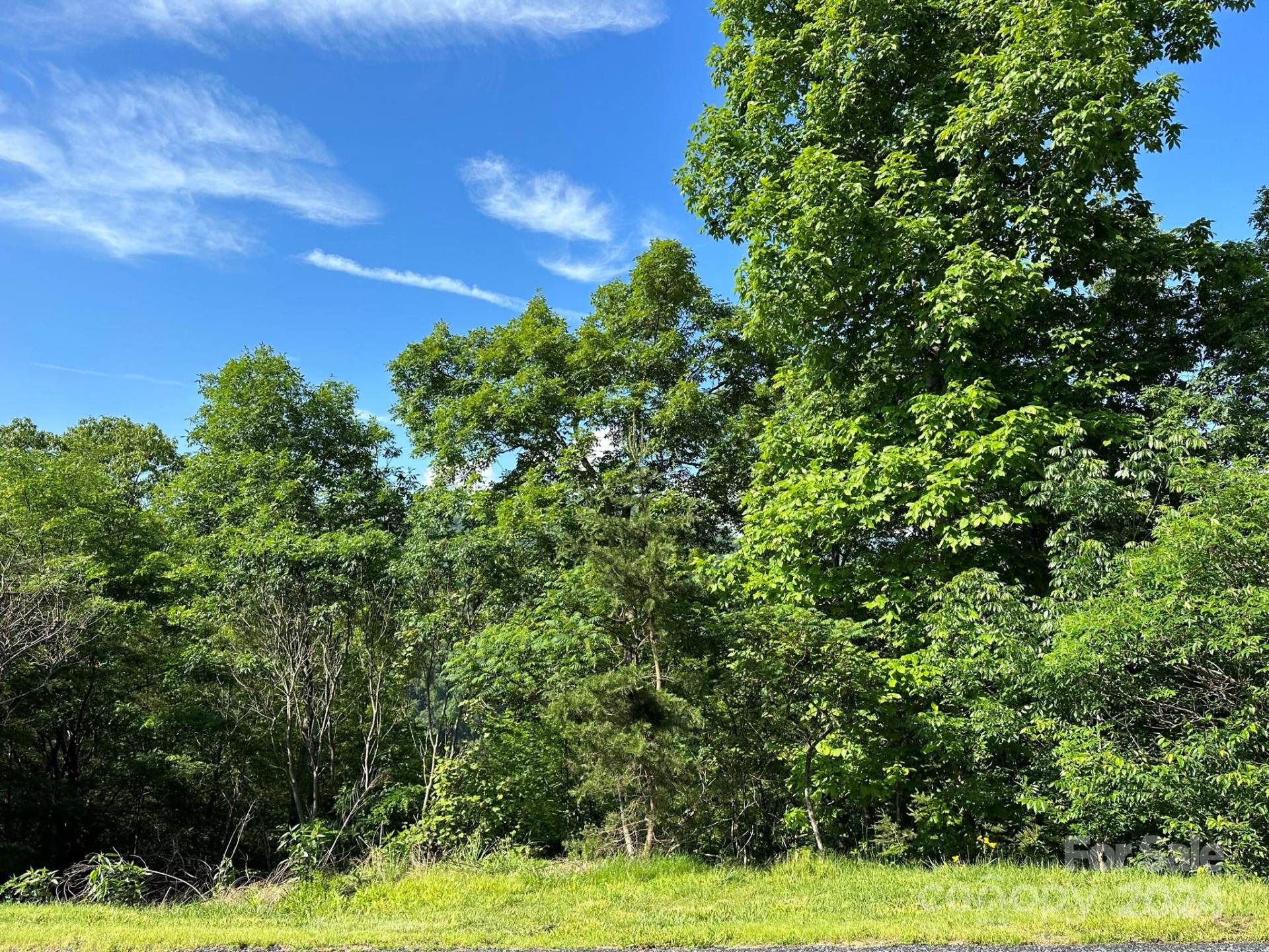 387 Wild River Run #6 - Photo 2