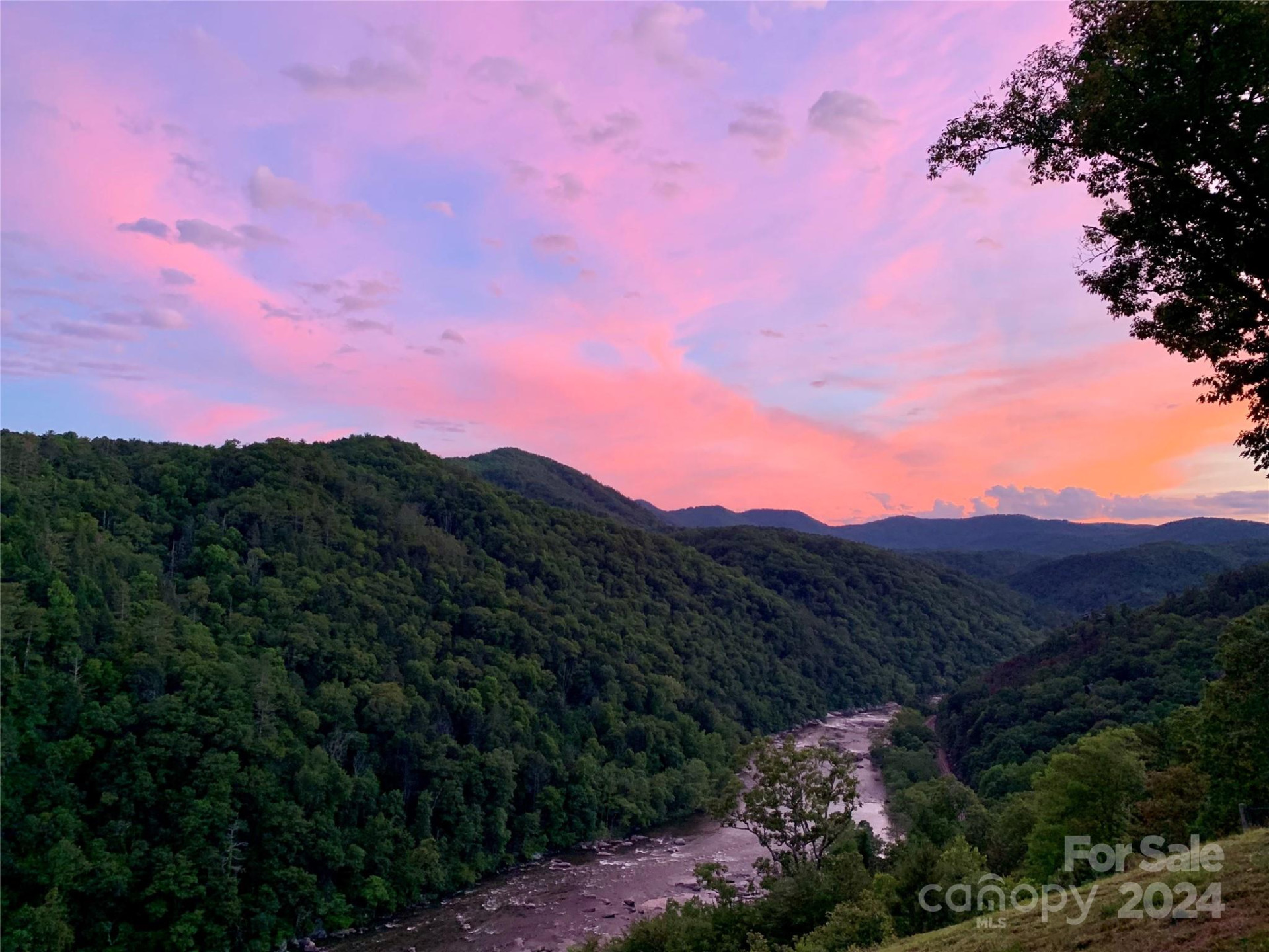 387 Wild River Run #6 - Photo 9