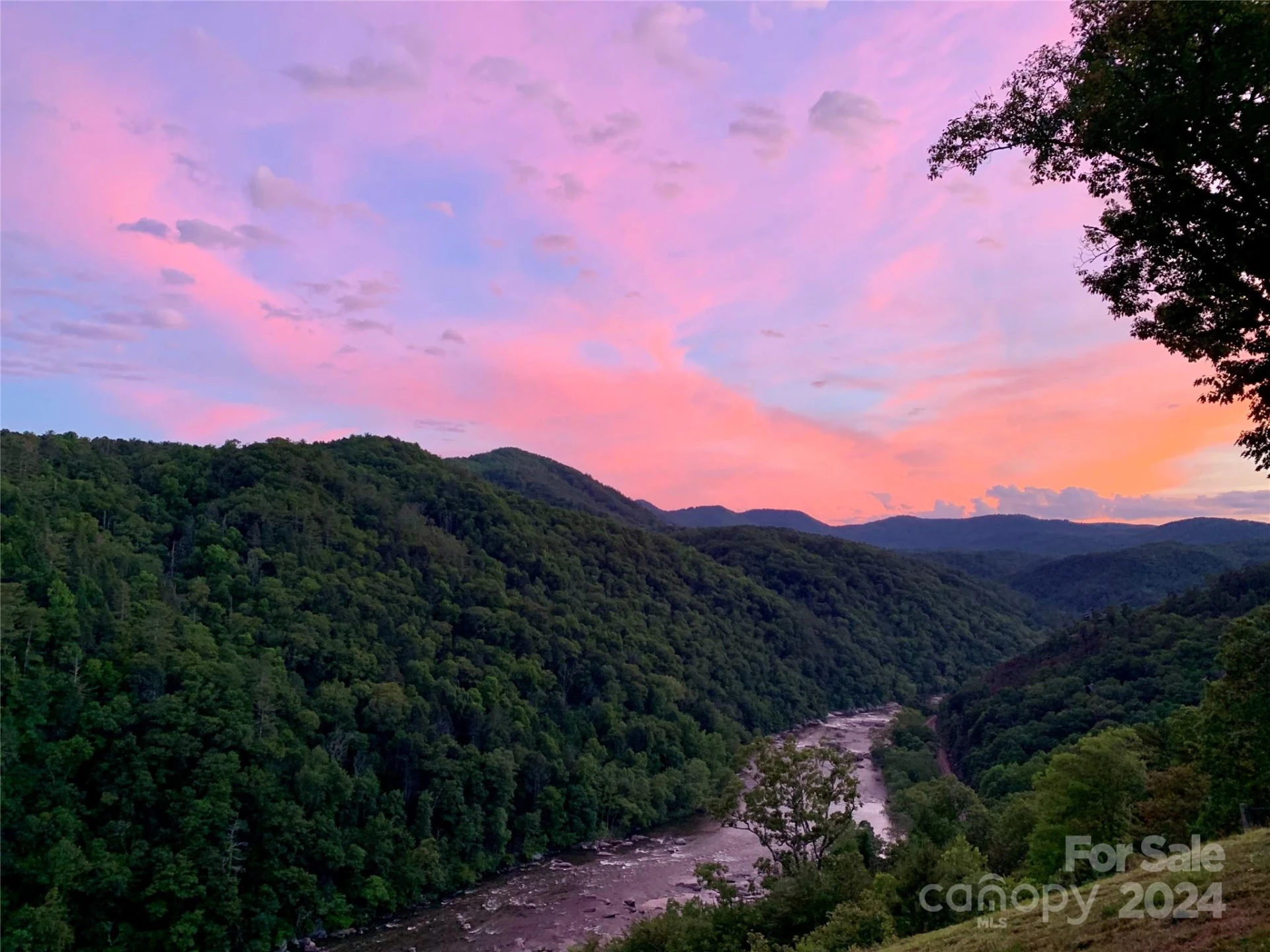 387 Wild River Run #6 - Photo 9