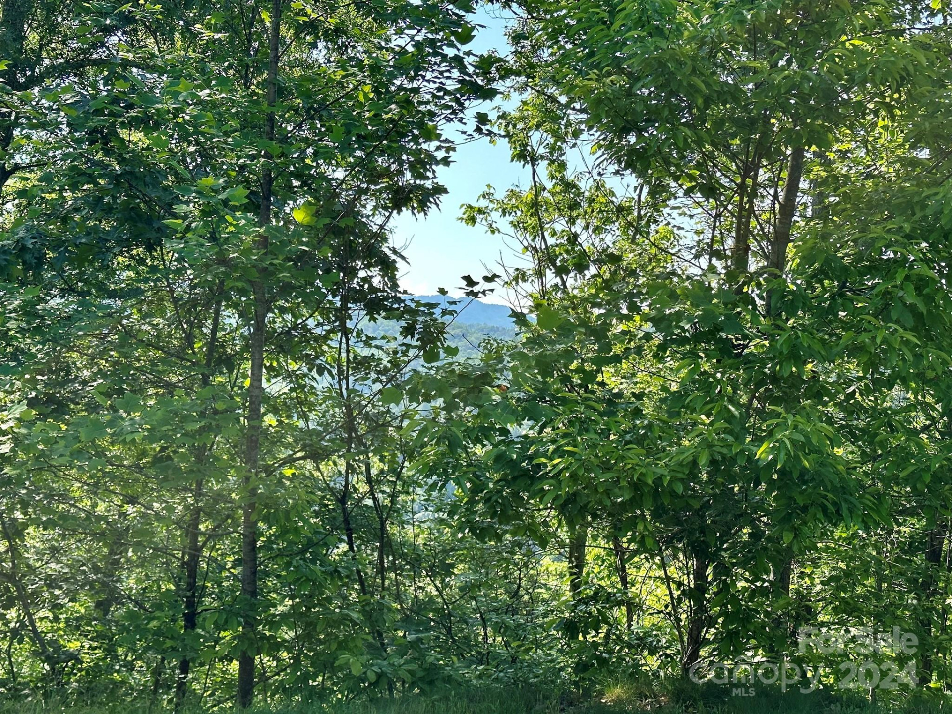 385 Wild River Run #7