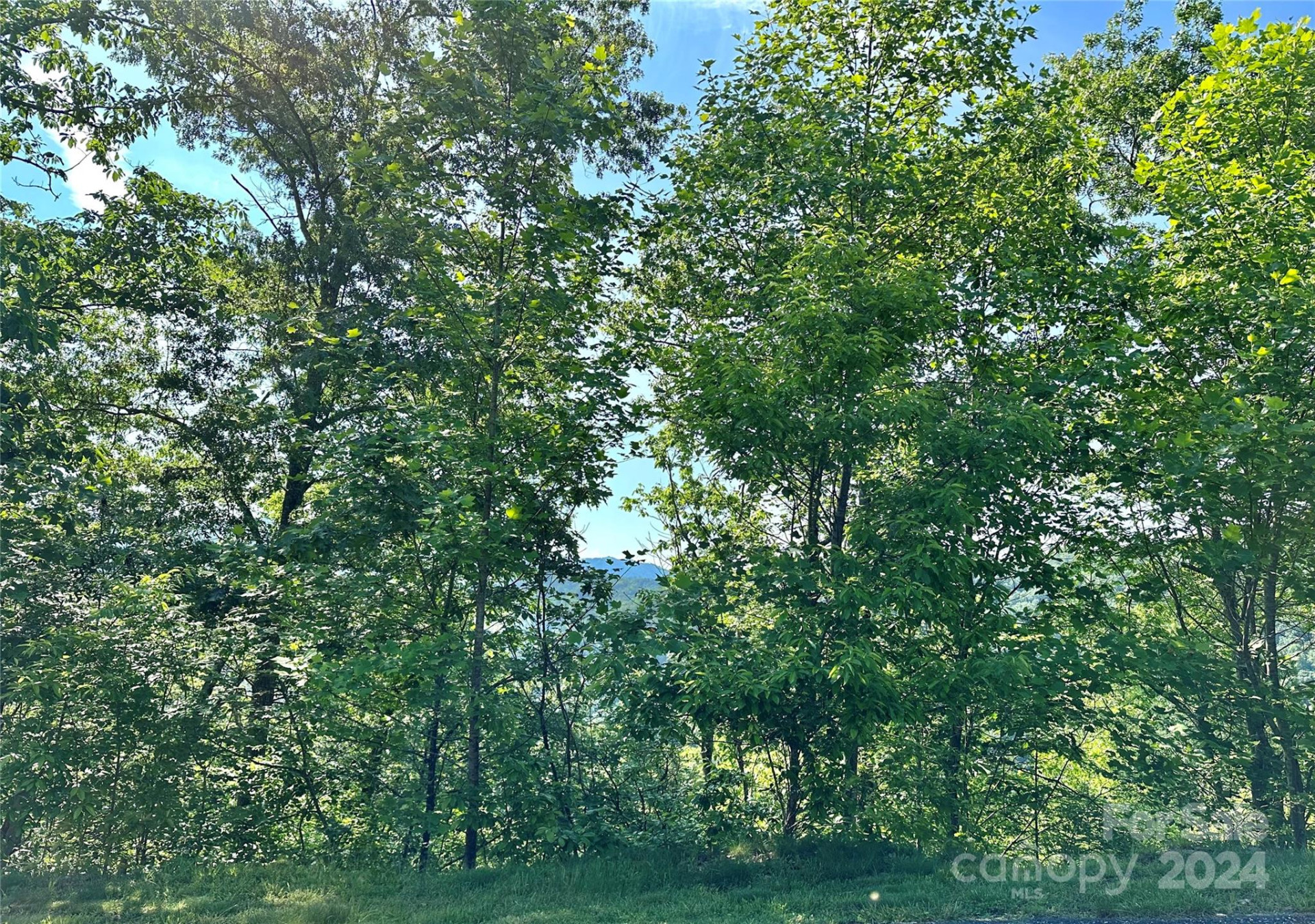 385 Wild River Run #7 - Photo 2