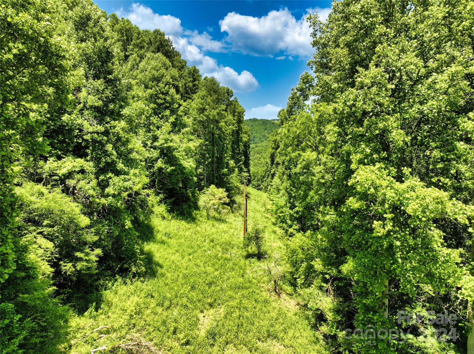 3065 Piney Hill Road - Photo 14