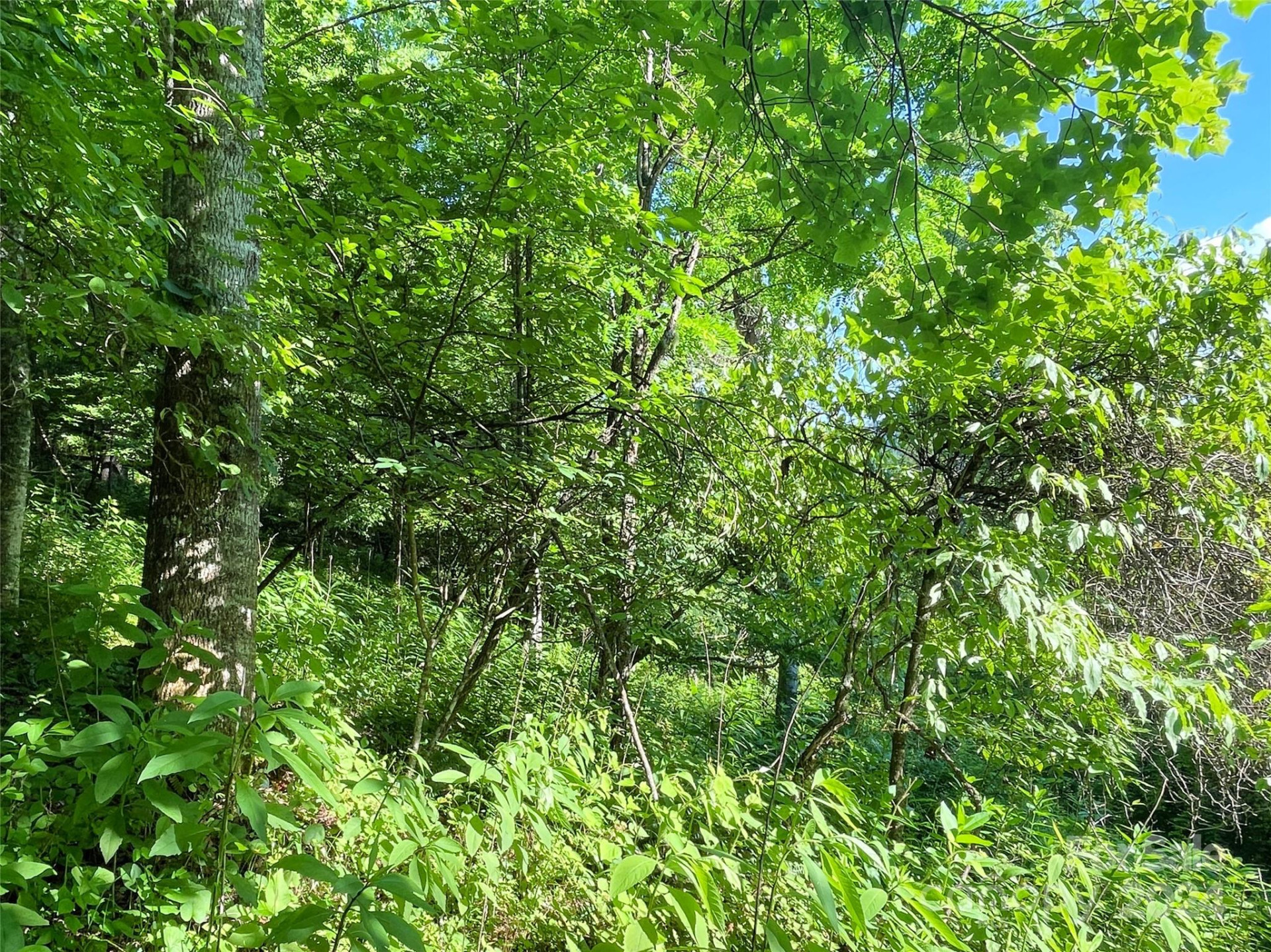 3065 Piney Hill Road - Photo 15