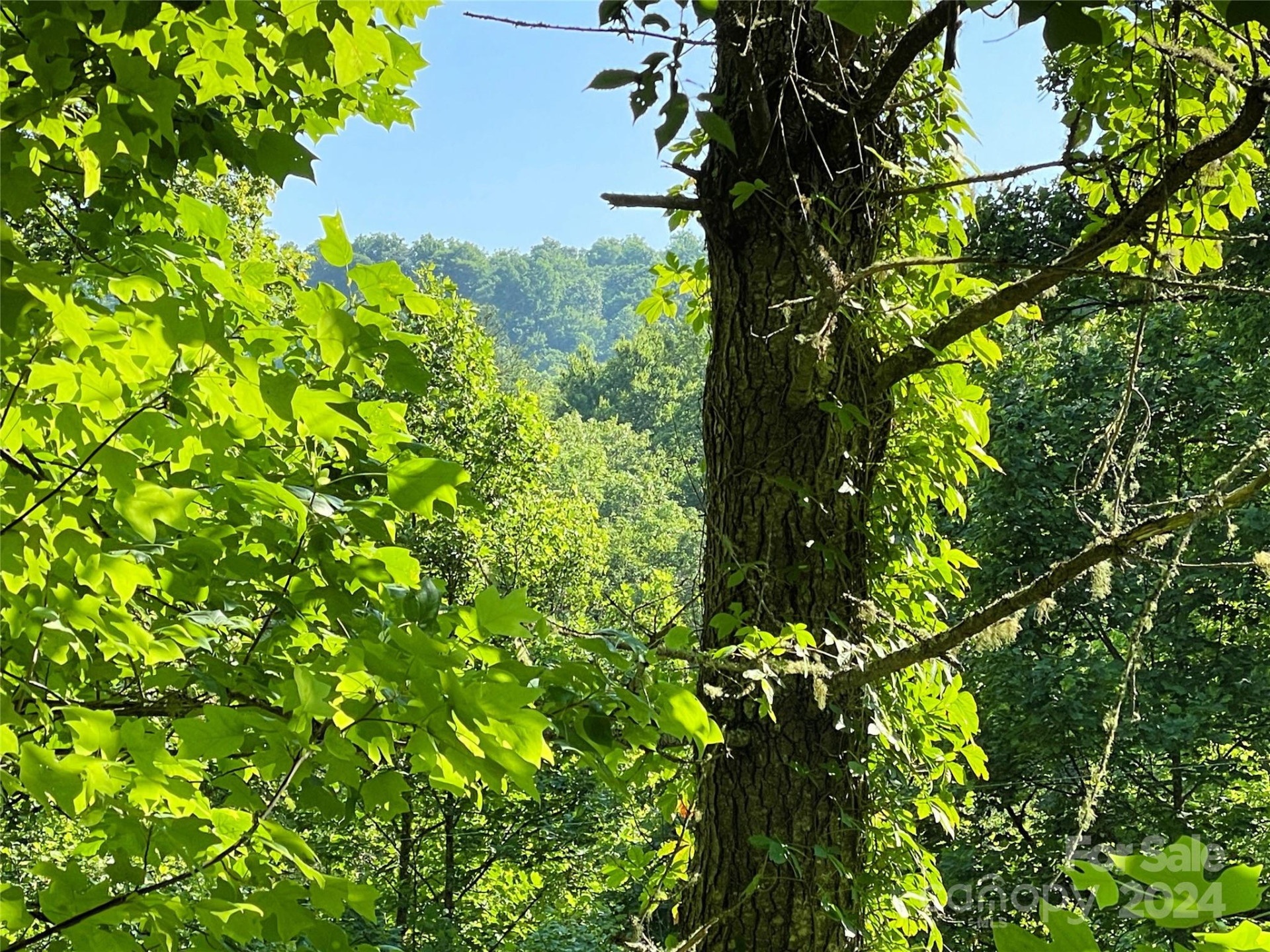 3065 Piney Hill Road - Photo 17