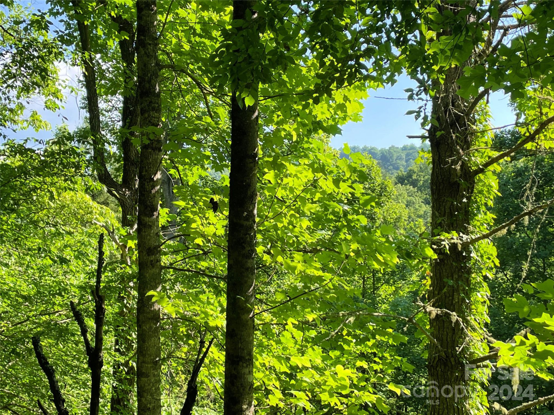 3065 Piney Hill Road - Photo 18