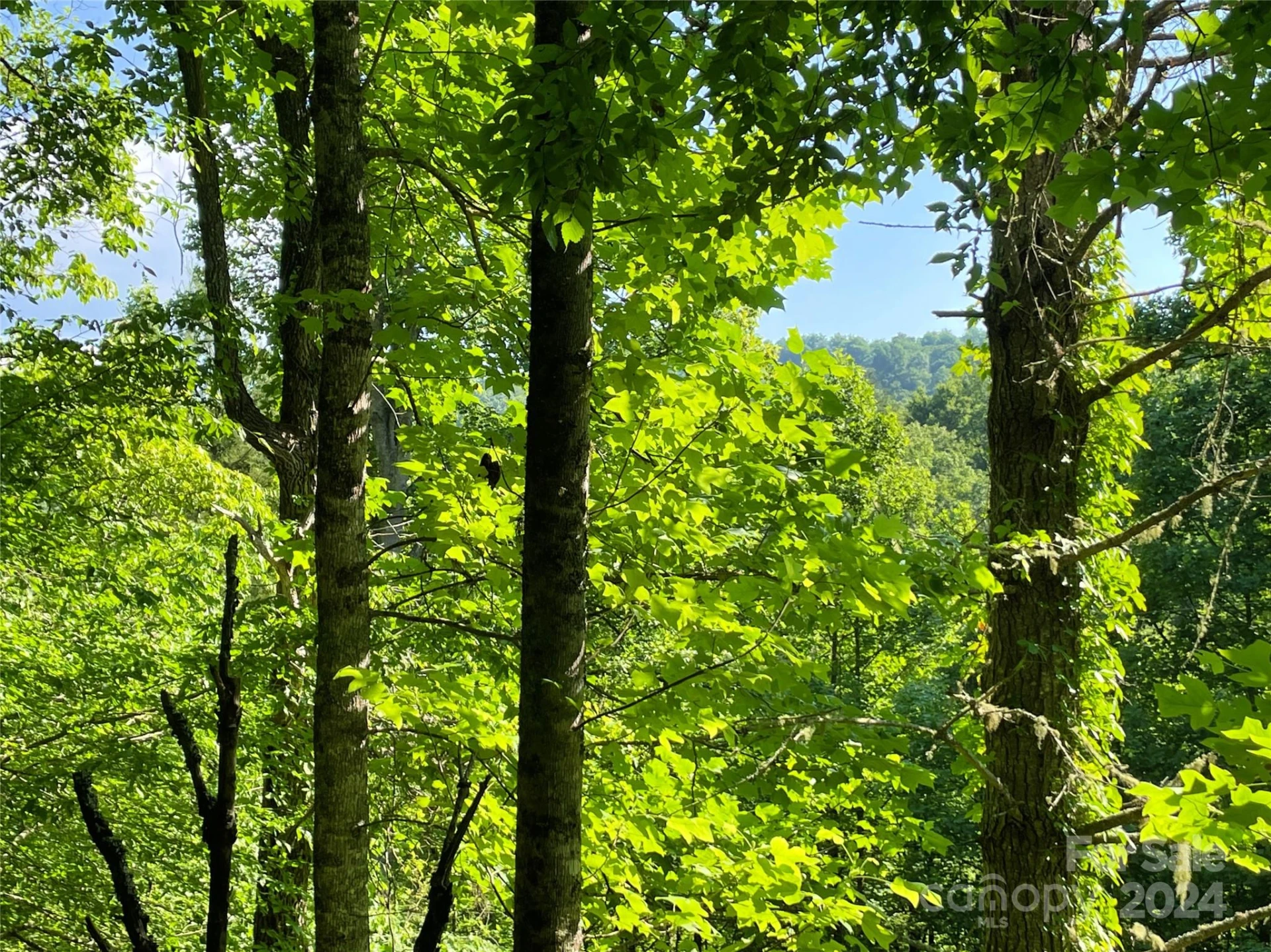 3065 Piney Hill Road - Photo 18