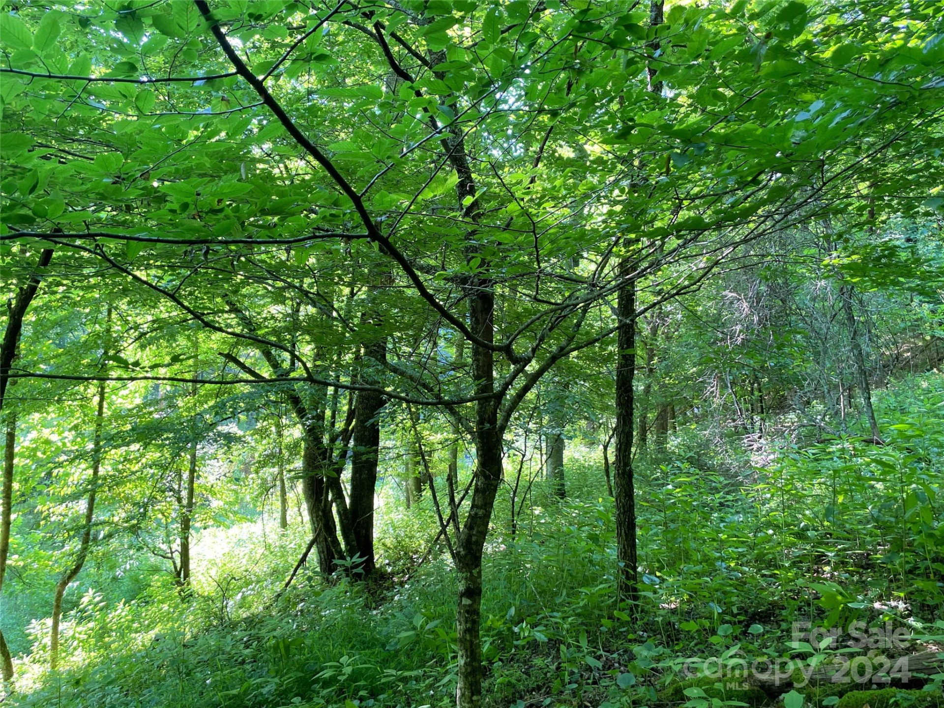 3065 Piney Hill Road - Photo 20