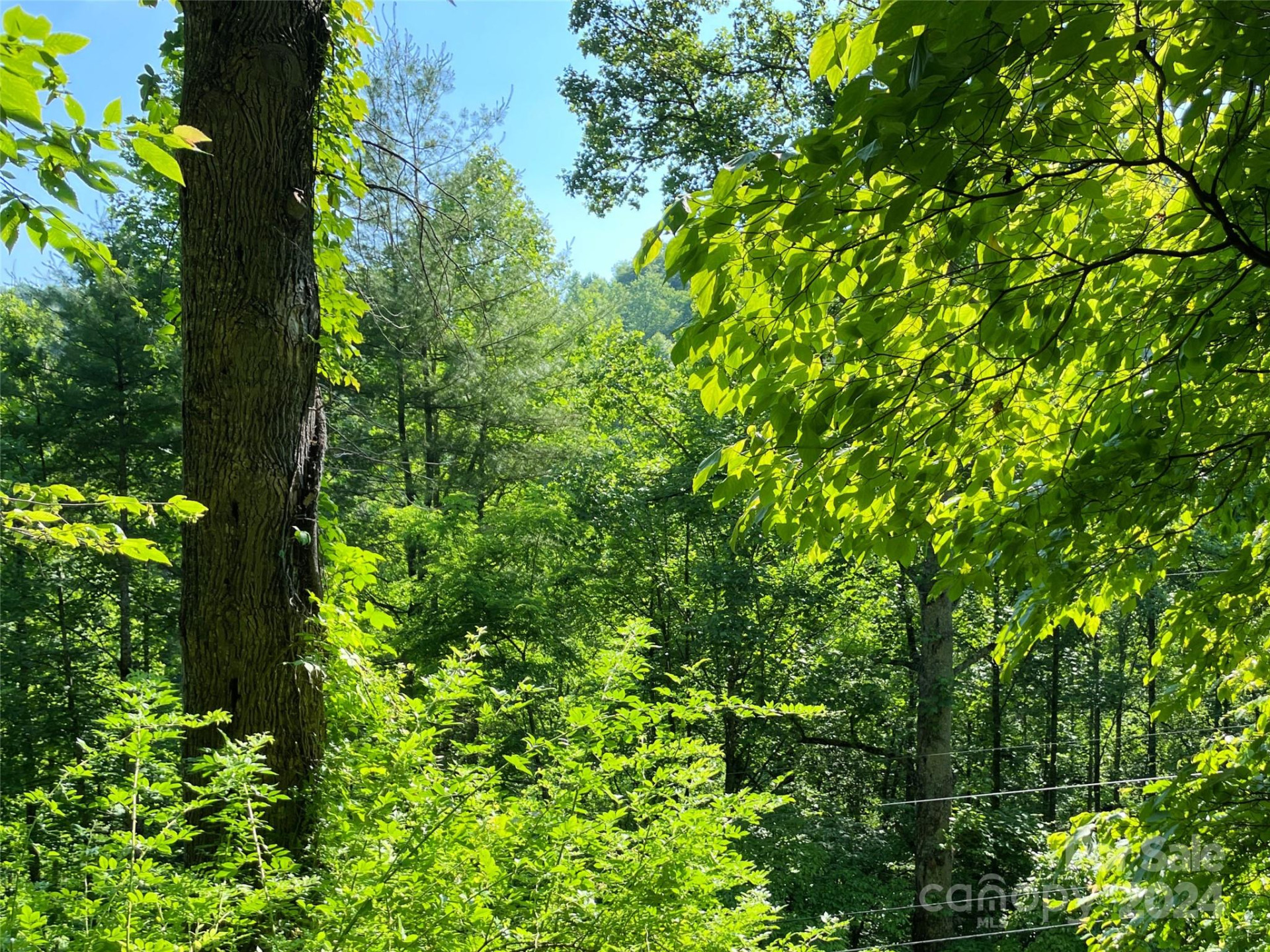 3065 Piney Hill Road - Photo 21