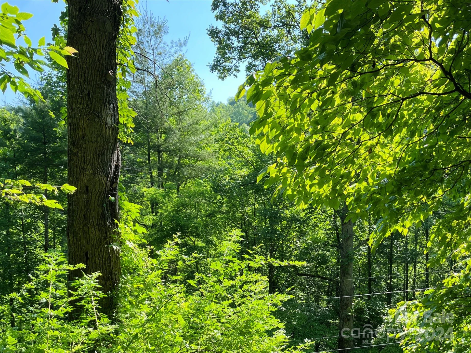 3065 Piney Hill Road - Photo 21