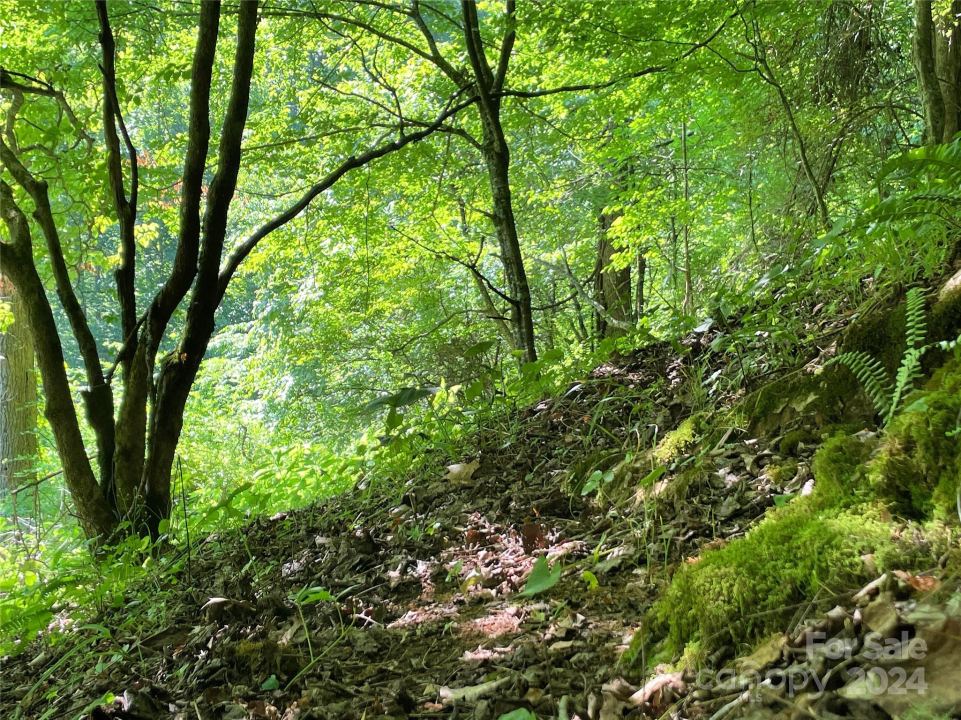 3065 Piney Hill Road - Photo 22