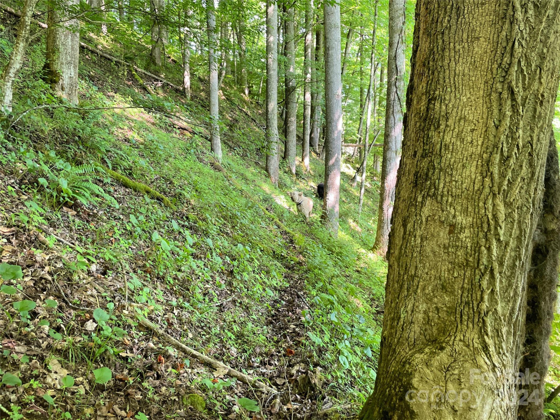 3065 Piney Hill Road - Photo 23