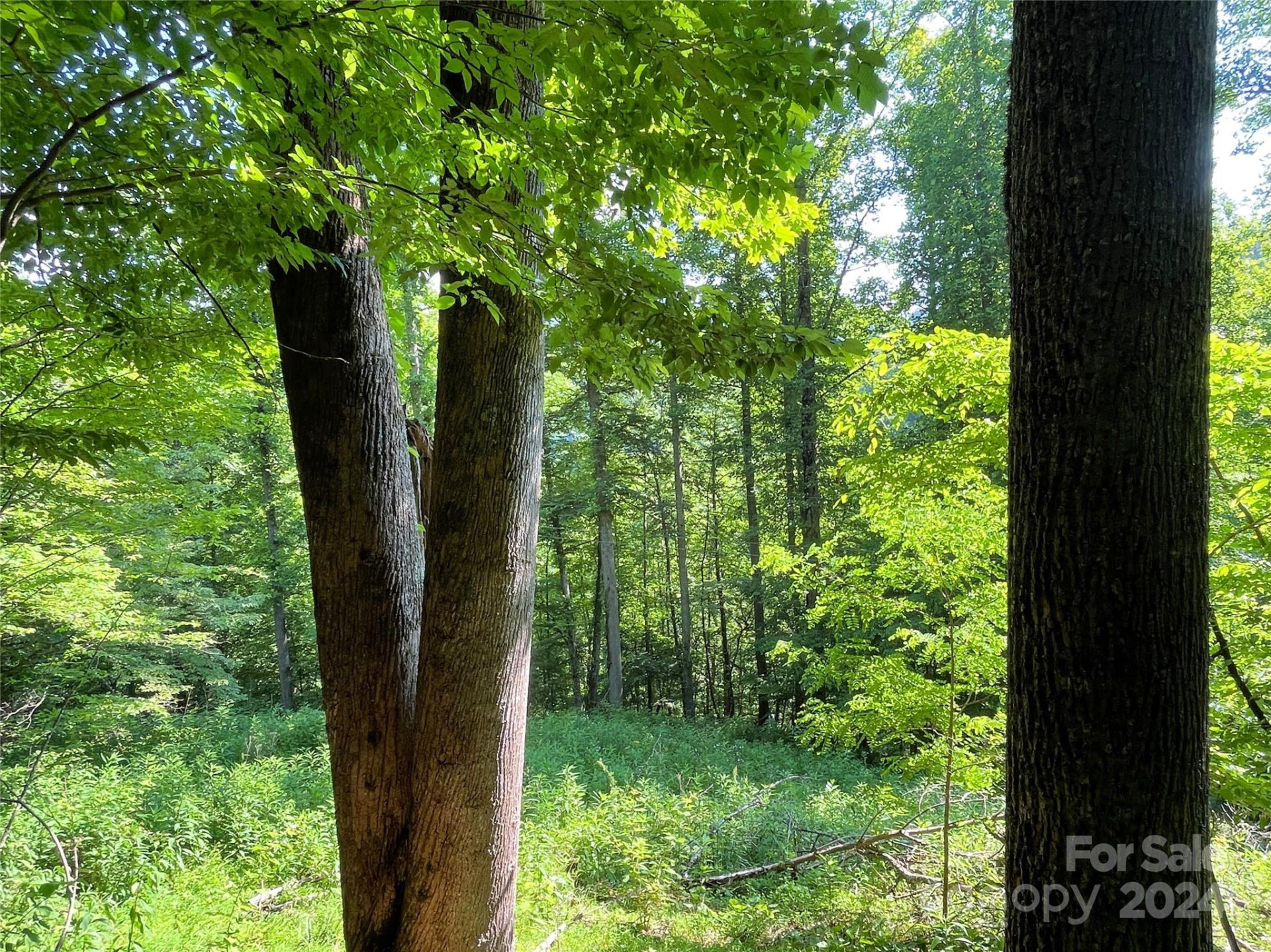 3065 Piney Hill Road - Photo 25