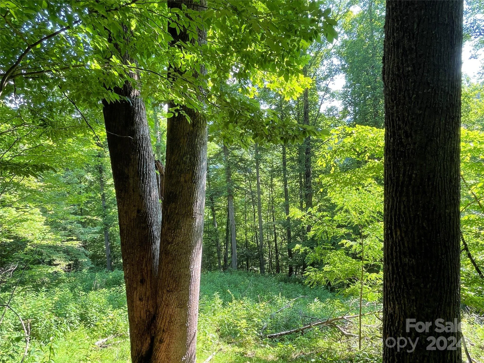 3065 Piney Hill Road - Photo 25