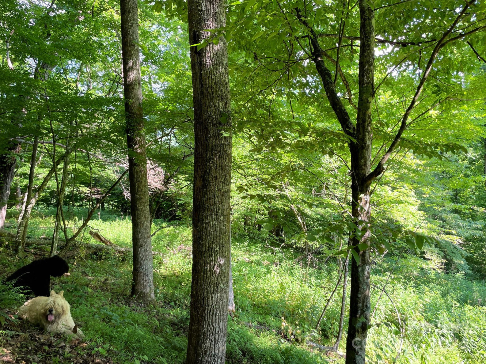 3065 Piney Hill Road - Photo 26