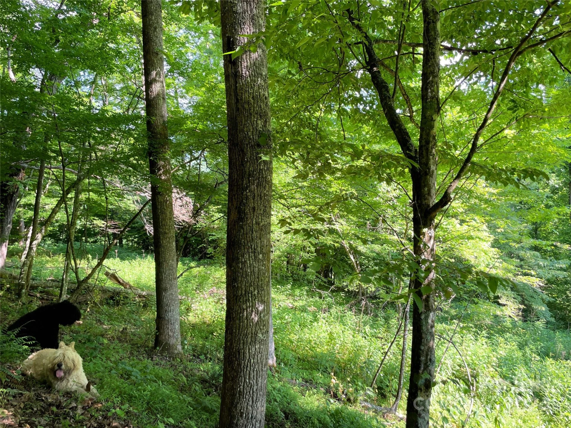 3065 Piney Hill Road - Photo 26